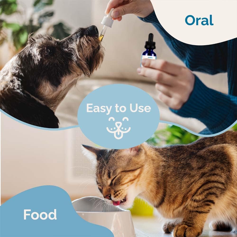 Natural Liver Support Supplement for Pets | Promotes Healthy Liver Function in Dogs & Cats | Herbal Formula for Abdominal Pain & Inflammation