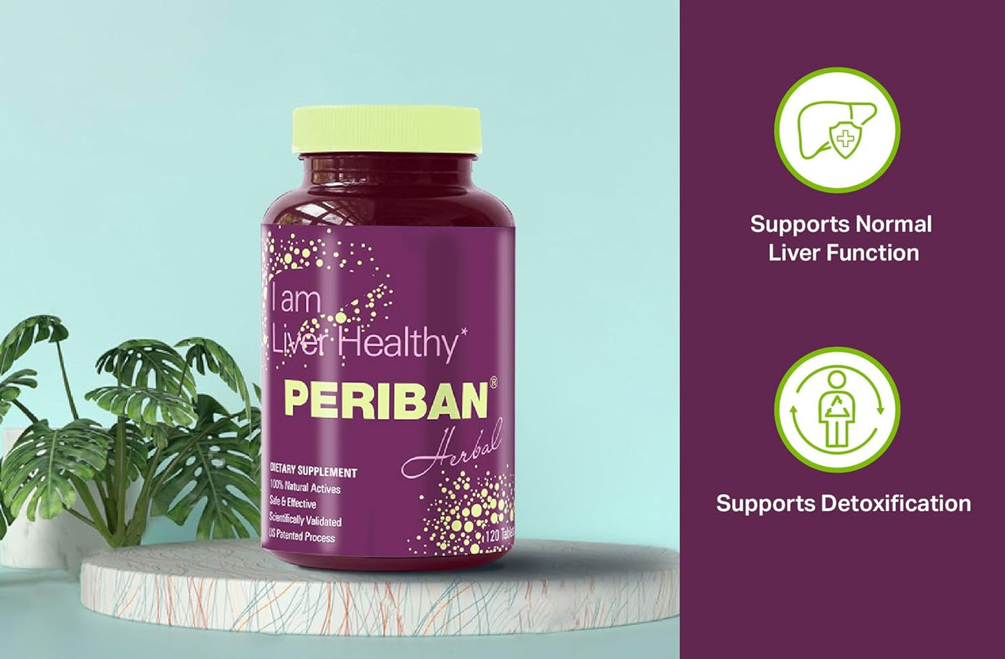 Natural Liver Support Supplement with Andrographis Paniculata, Boerrhavia Diffusa, Tephrosia Purpurea, Phyllanthus Niruri for Immune Health, PERIBAN Liver Support Formula