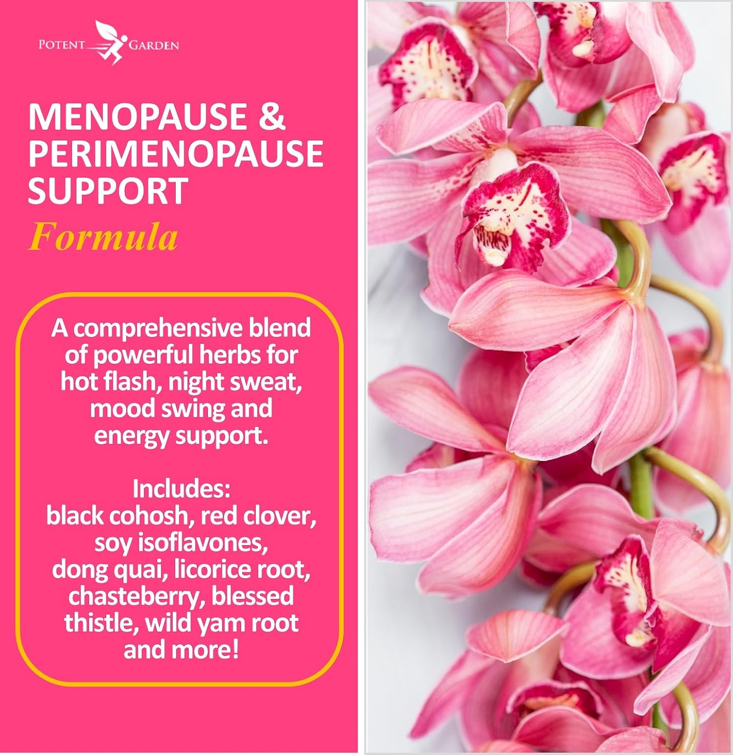 Natural Menopause Relief Supplement with Black Cohosh, Soy Isoflavones, & Don Quai - Hot Flash & Night Sweats Relief for Women - Non-GMO - 60 Capsules