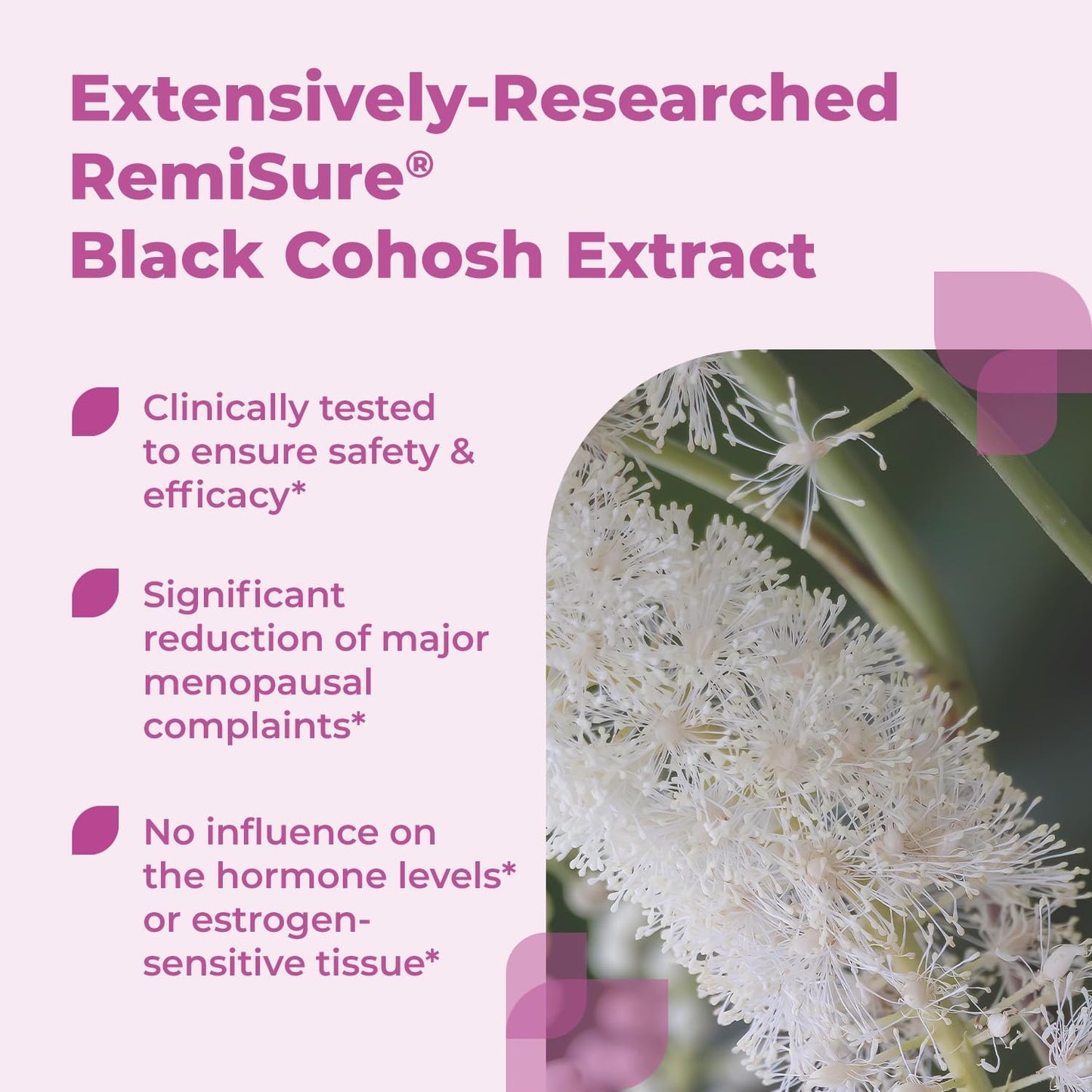 Natural Menopause Relief Tablets with Clinically Proven Ingredients - Estrogen-Free Formula - Black Cohosh - Made in Germany - 60 Tablets