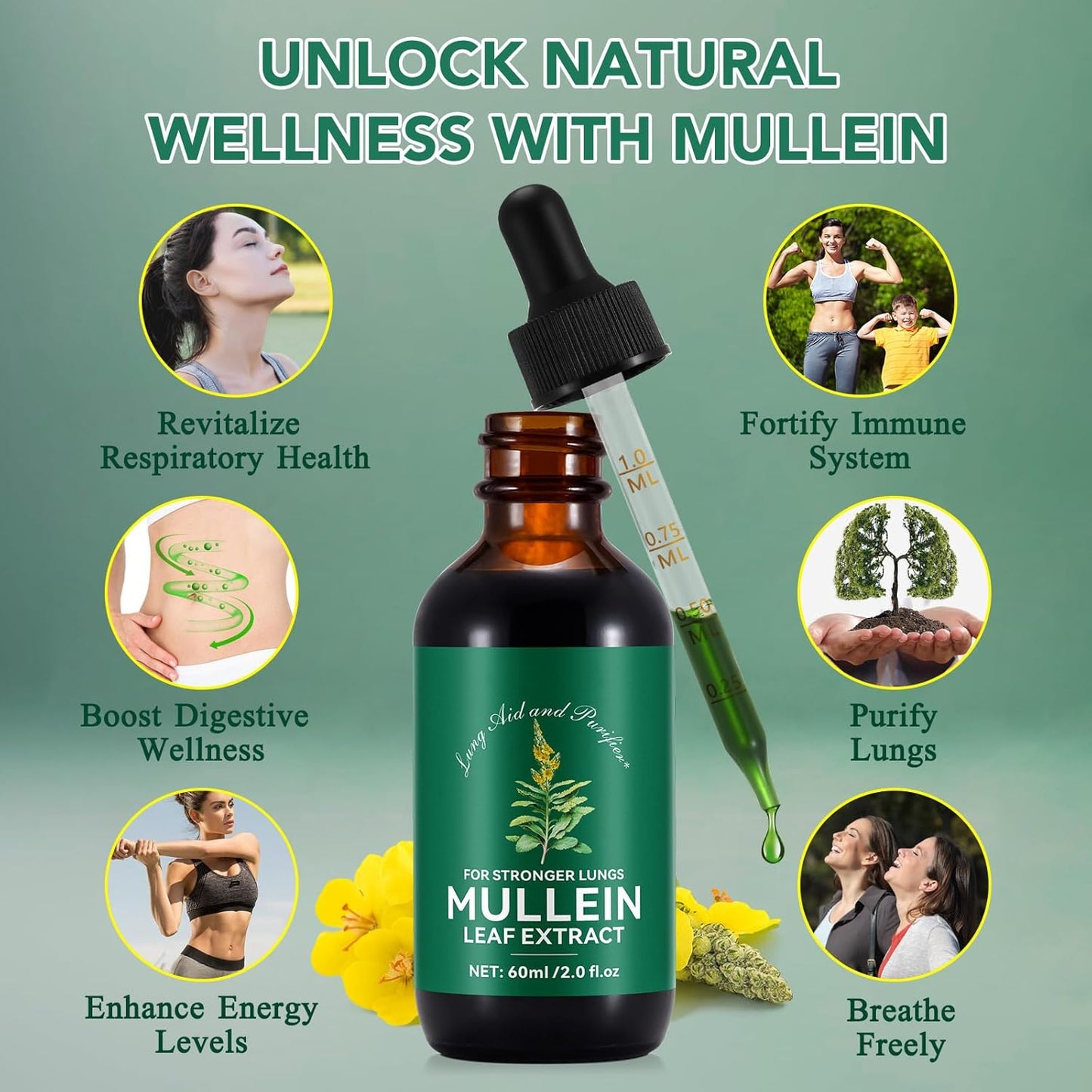 Natural Mullein Leaf Extract for Healthy Breathing & Respiratory Support - Lung Aid & Gentle Cleanse - Fast-Absorbing Vegetarian Formula - 1 Month Supply - 60ml