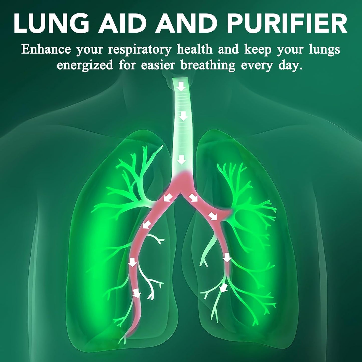 Natural Mullein Leaf Extract for Healthy Breathing & Respiratory Support - Lung Aid & Gentle Cleanse - Fast-Absorbing Vegetarian Formula - 1 Month Supply - 60ml