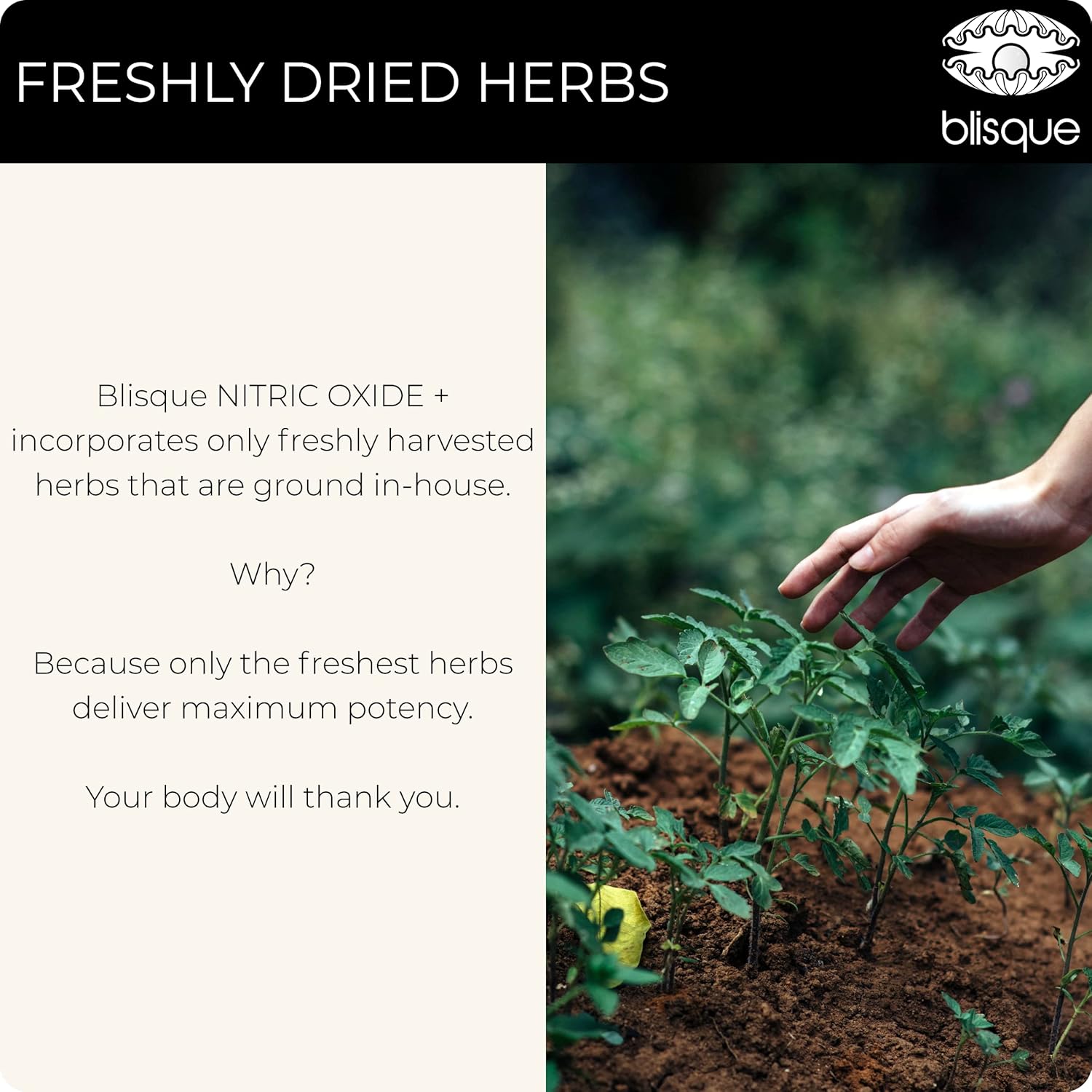 Natural Nitric Oxide Booster Capsules with L-Arginine, Maca Root, and Beet Root for Blood Flow Support | Doctor-Approved Vegan Supplement | 90 Capsules