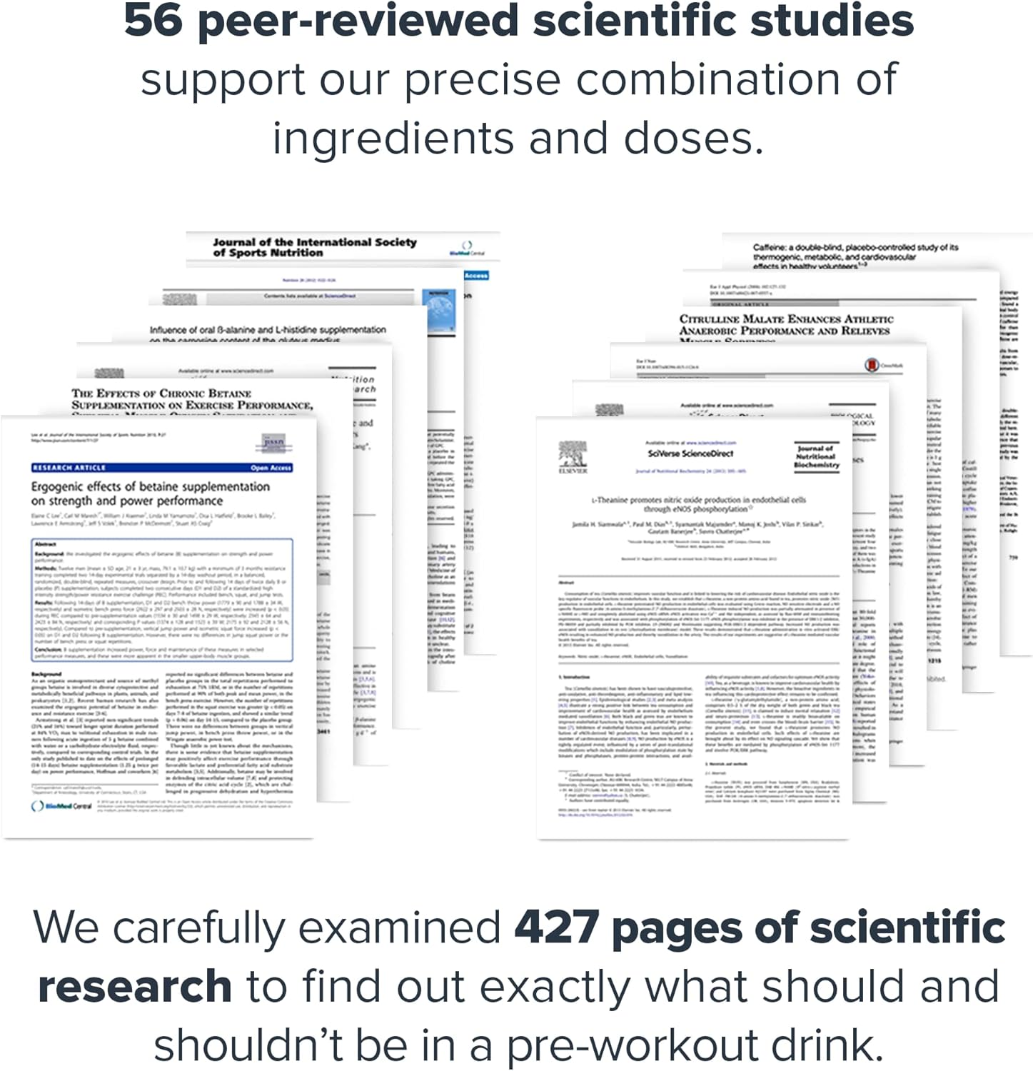 Natural Nitric Oxide Pre Workout Drink - Boost Energy with LEGION Pulse Supplement, Creatine Free, Sweetened with Beta Alanine, Citrulline, Alpha GPC (Fruit Punch & Blue Raspberry)
