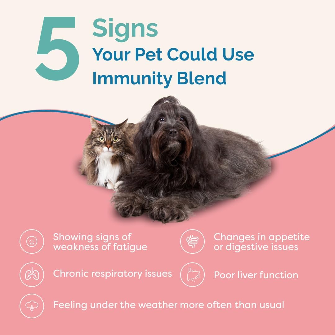 Natural Pet Supplement Promotes Energy, Appetite & Immune Health in Dogs & Cats