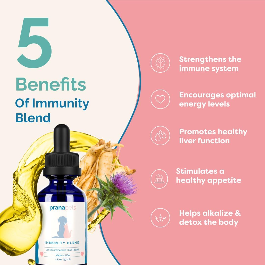 Natural Pet Supplement Promotes Energy, Appetite & Immune Health in Dogs & Cats