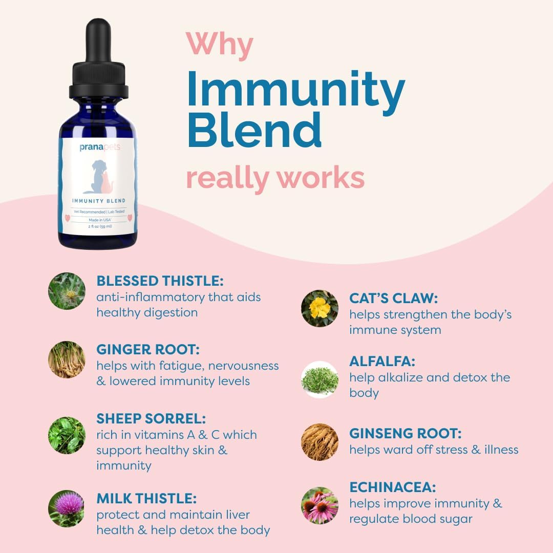 Natural Pet Supplement Promotes Energy, Appetite & Immune Health in Dogs & Cats