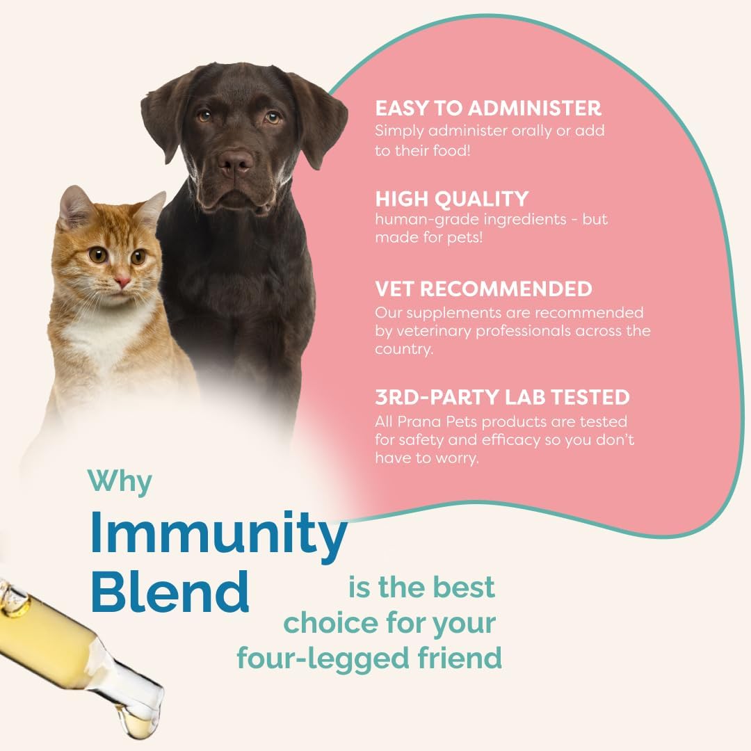 Natural Pet Supplement Promotes Energy, Appetite & Immune Health in Dogs & Cats
