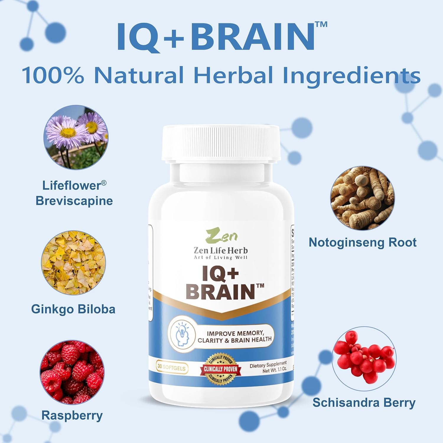Natural Plant-Based Herbal Supplement for Focus, Concentration, Memory & Energy - Caffeine-Free Brain Support - Clinically Tested (30 Softgels)