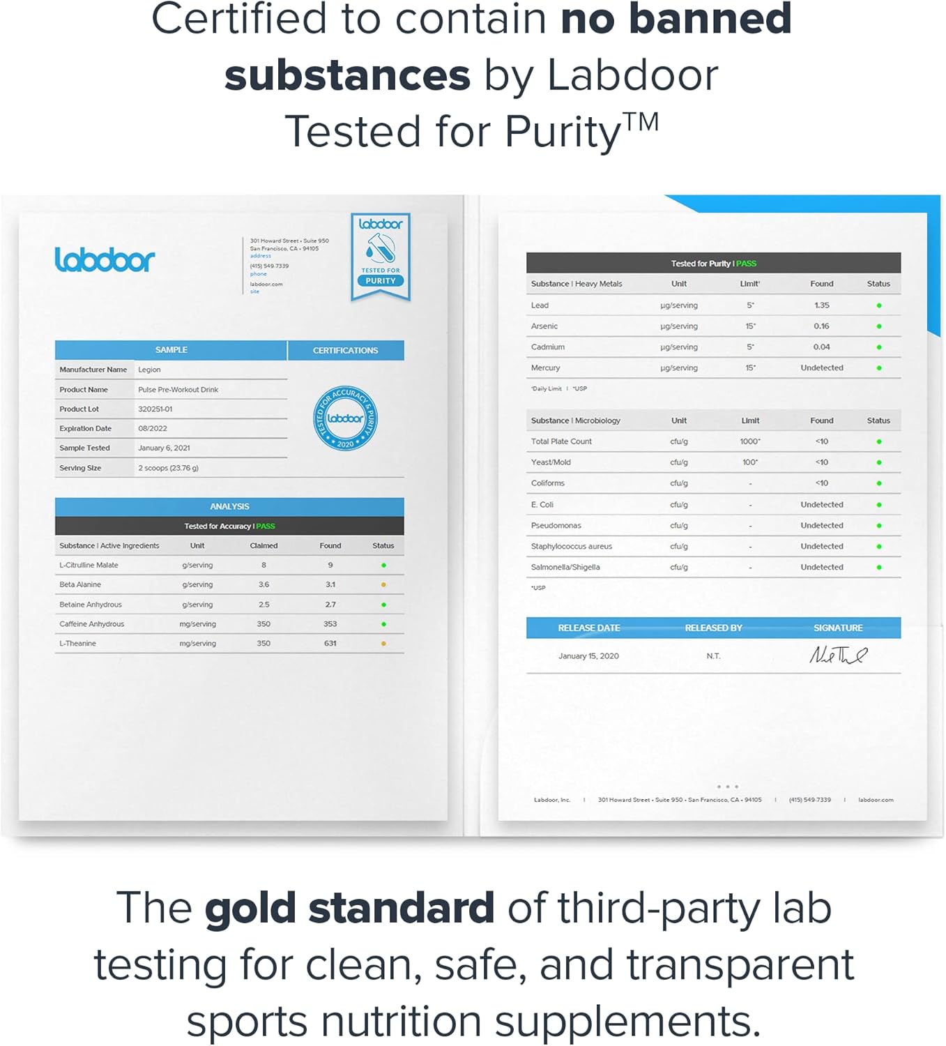 Natural Pre-Workout Drink for Energy Boost - Citrulline, Beta Alanine, Alpha GPC, Caffeine-Free Green Apple - LEGION Pulse Supplement