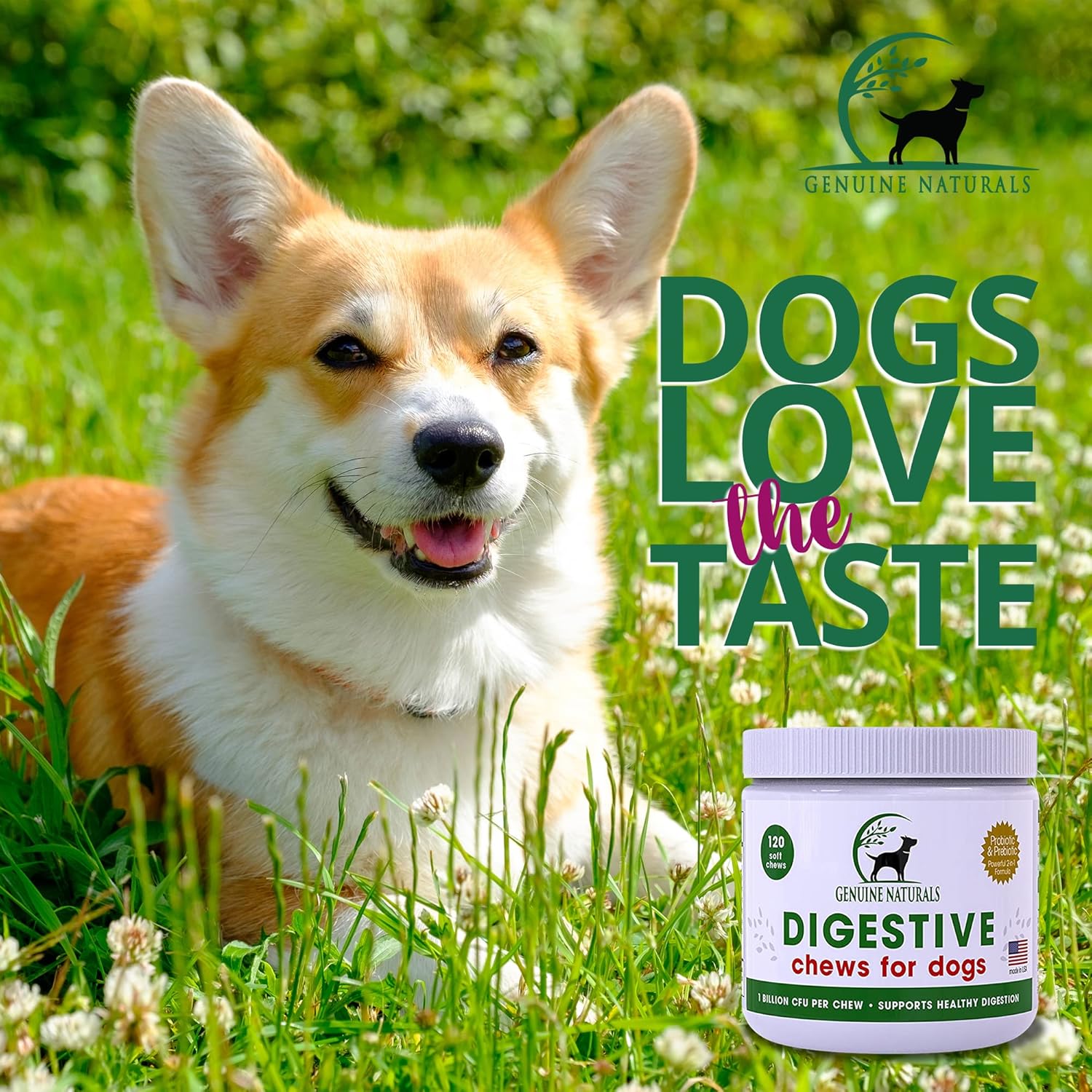 Natural Probiotic Chew for Dogs - Digestive Supplement by FurParents - Supports Gut Health, Diarrhea, Upset Stomach, Bad Breath & Constipation - 120 Count