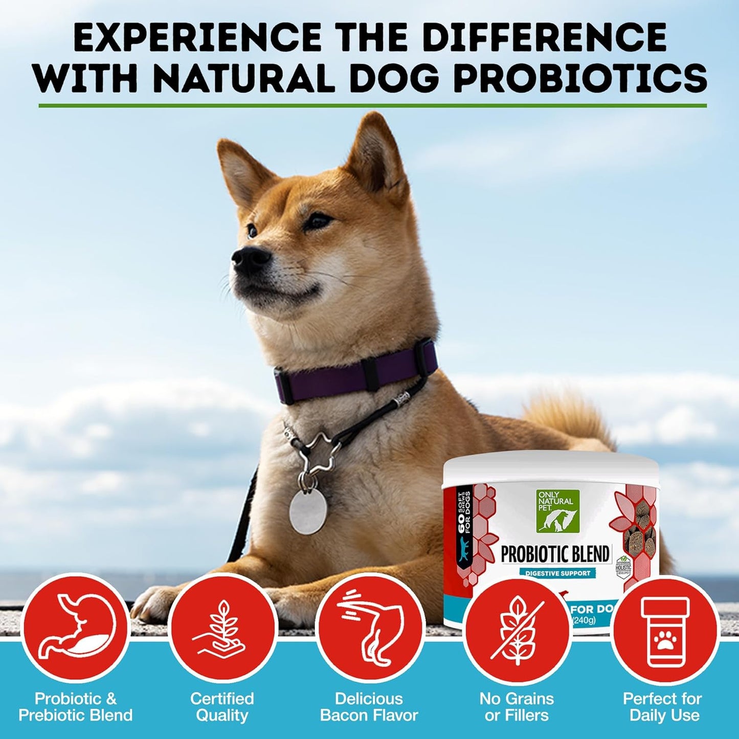 Natural Probiotic Supplement for Dogs and Cats - Supports Digestive Health, Enzyme Formula, Puppy & Canine Soft Chews, Stomach Relief & Gas Aid, 60 Count