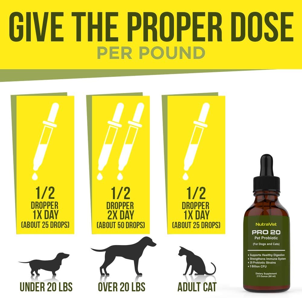 Natural Probiotics for Dogs and Cats - 120 Servings, Digestive Enzymes for Gas Relief, Liquid Vitamins for Gut Health