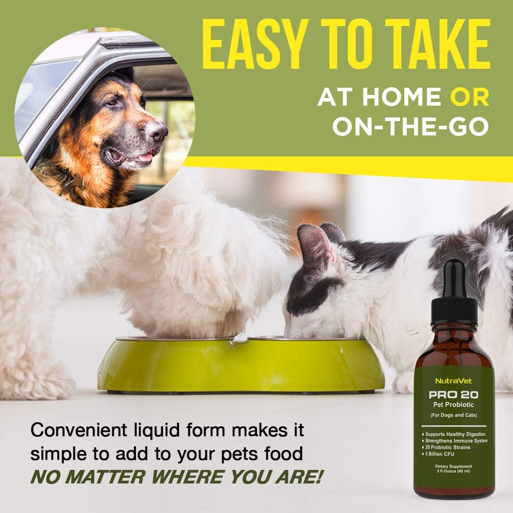 Natural Probiotics for Dogs and Cats - 120 Servings, Digestive Enzymes for Gas Relief, Liquid Vitamins for Gut Health