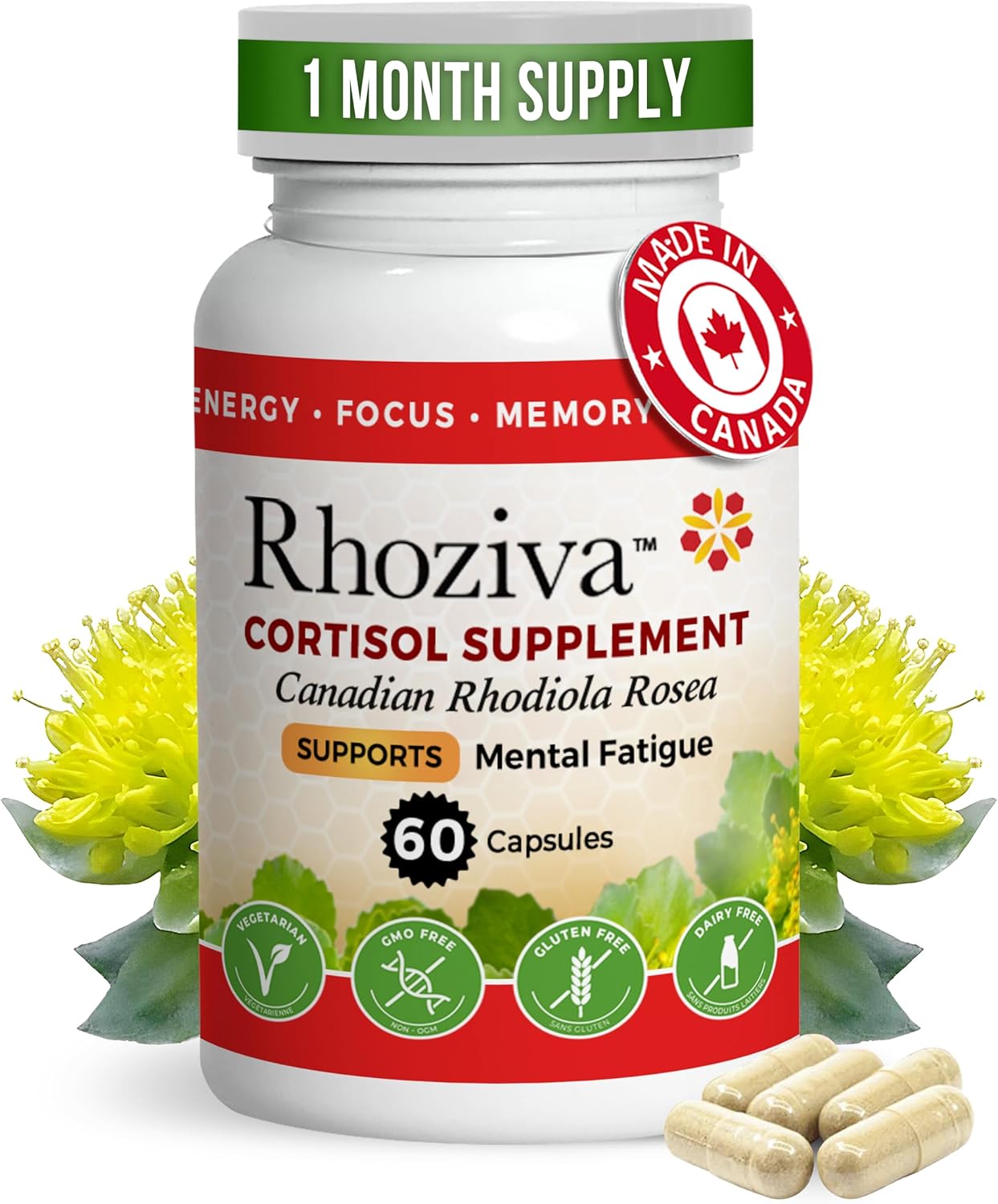 Natural Rhodiola Rosea Supplement for Focus, Memory, and Stress Relief - 5:1 Root Extract with Vitamins - 60 Capsules
