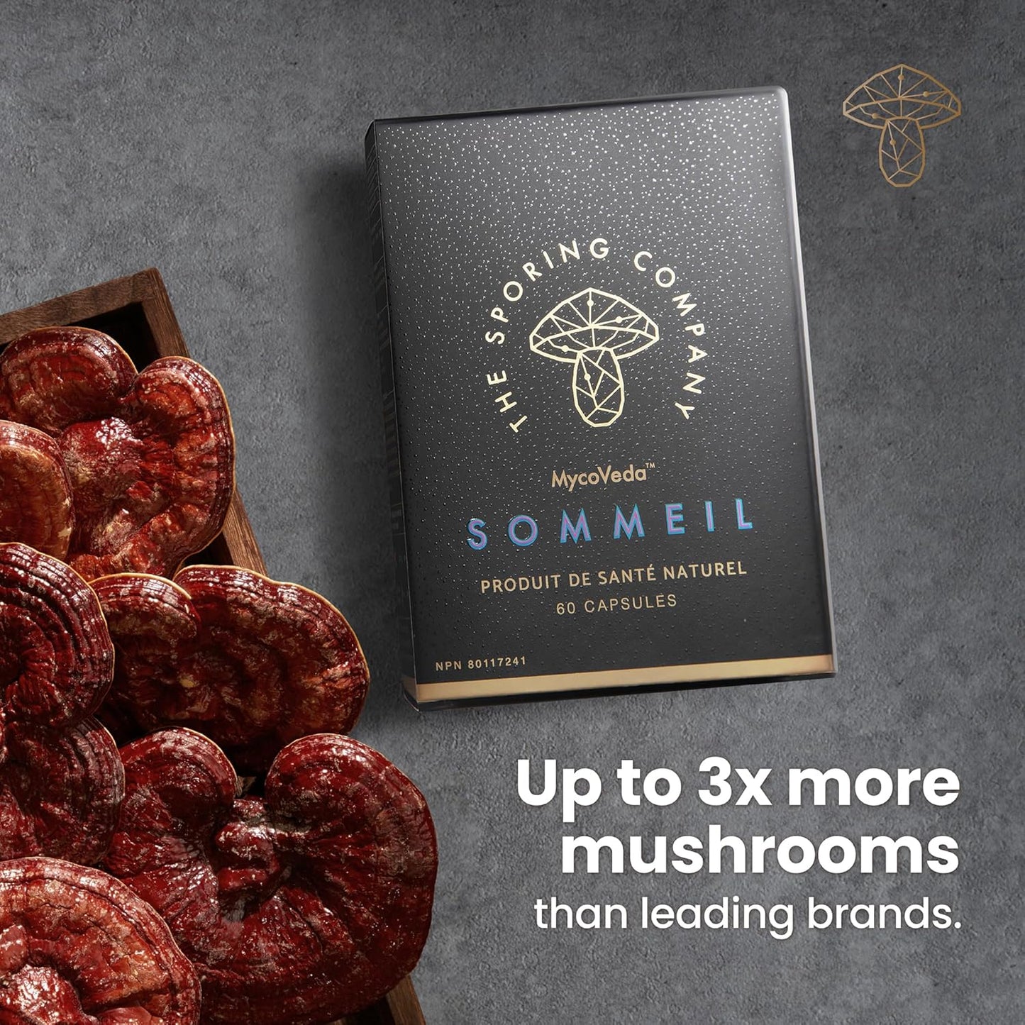 Natural Sleep Supplement with Reishi, Valerian Root, and Skullcap for Long-Term Sleep Regulation - 60 Capsules