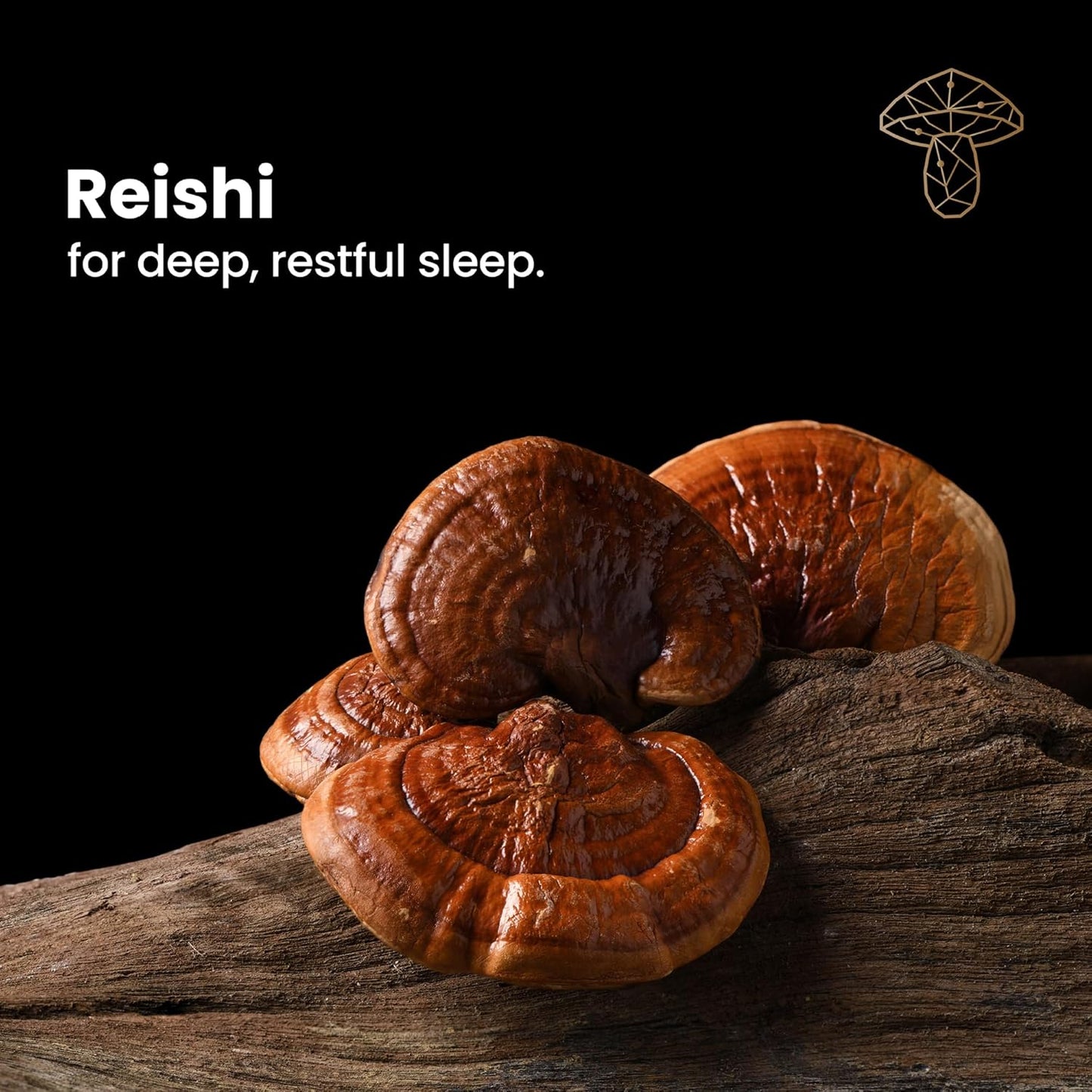 Natural Sleep Supplement with Reishi, Valerian Root, and Skullcap for Long-Term Sleep Regulation - 60 Capsules