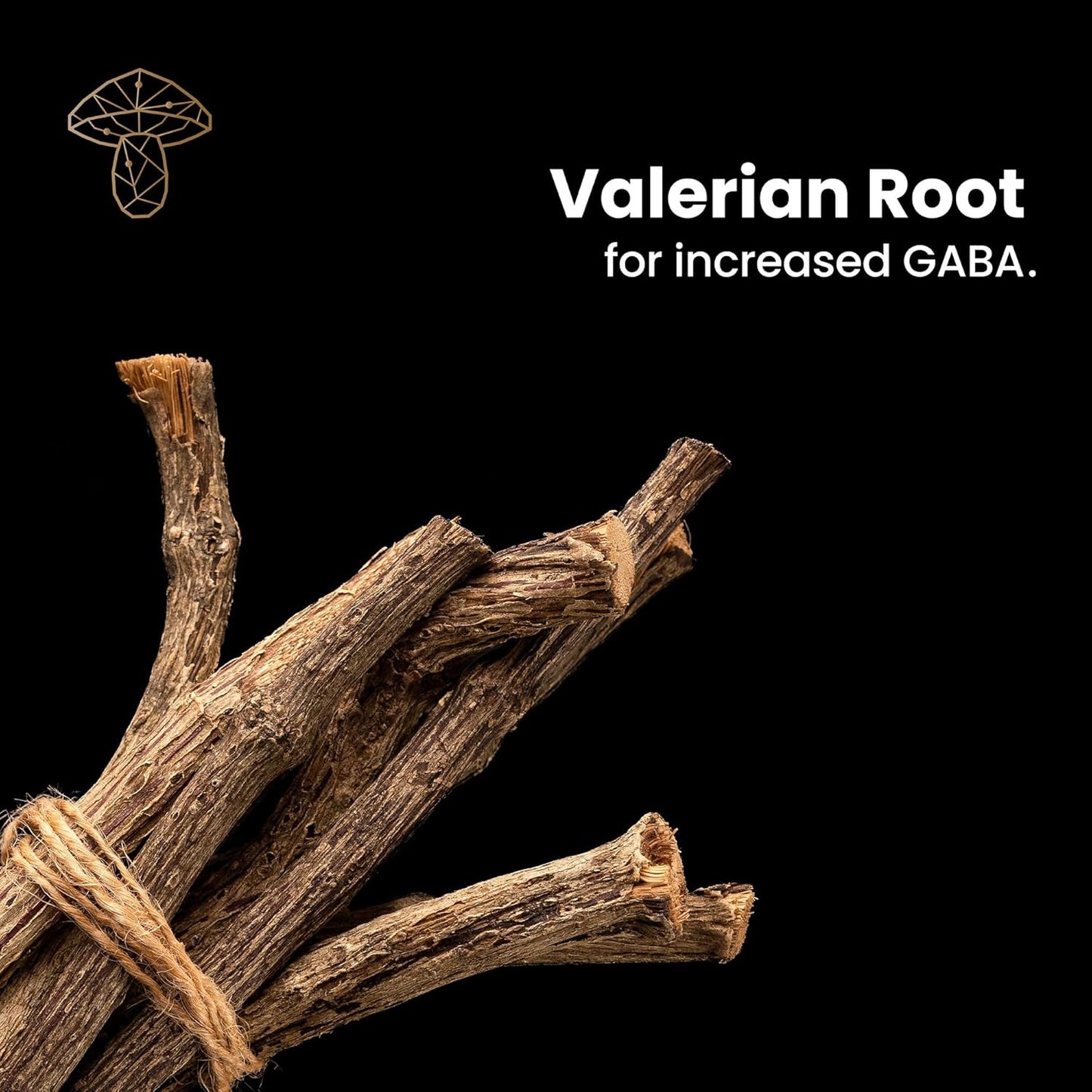 Natural Sleep Supplement with Reishi, Valerian Root, and Skullcap for Long-Term Sleep Regulation - 60 Capsules