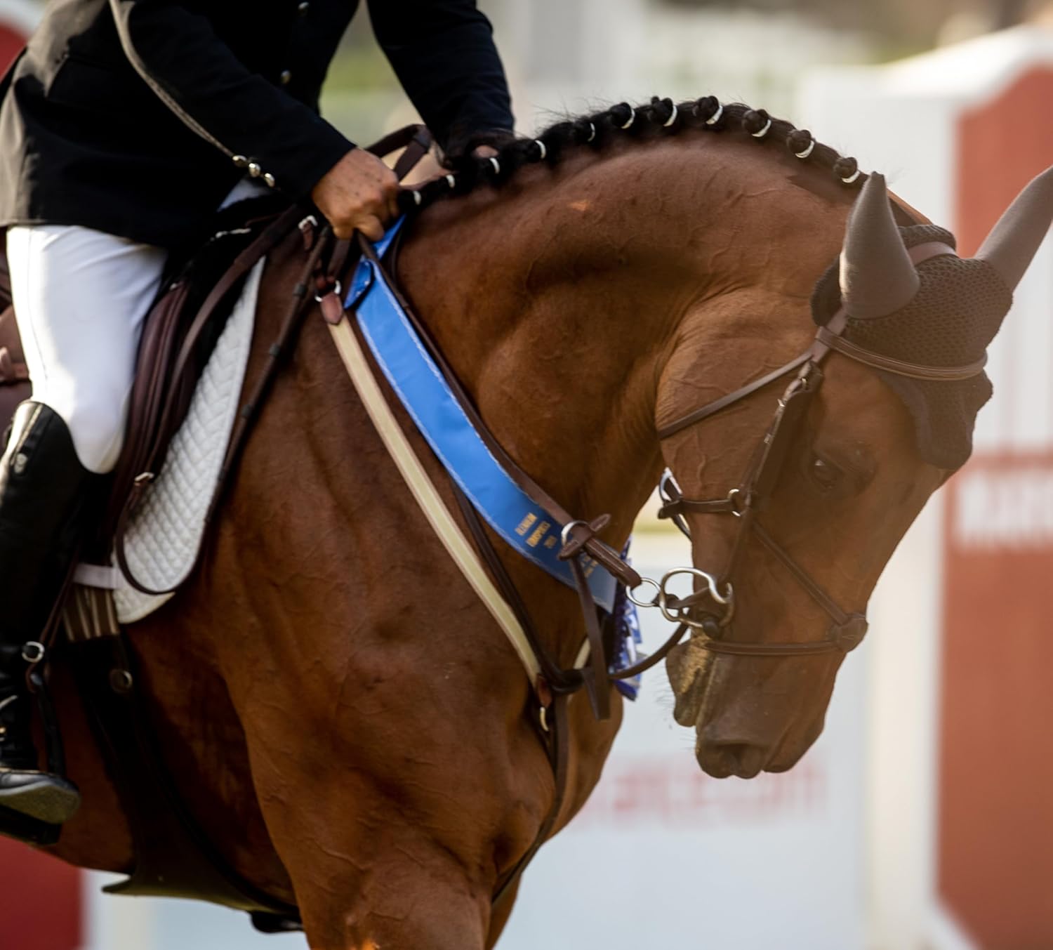 Natural Stomach Health & Behavioral Support Bundle for Horses - 30 Servings - Promotes Calmness & Focus, Aids in Gastric Ulcer Relief, All Natural Formula - SynNutra Equine SynChill + GastroMend