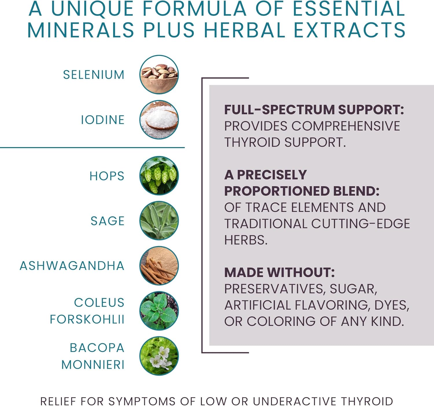 Natural Thyroid Supplement for Women - T-Balance Plus by Women's Health Network, 60 Capsules for Subclinical Hypothyroidism