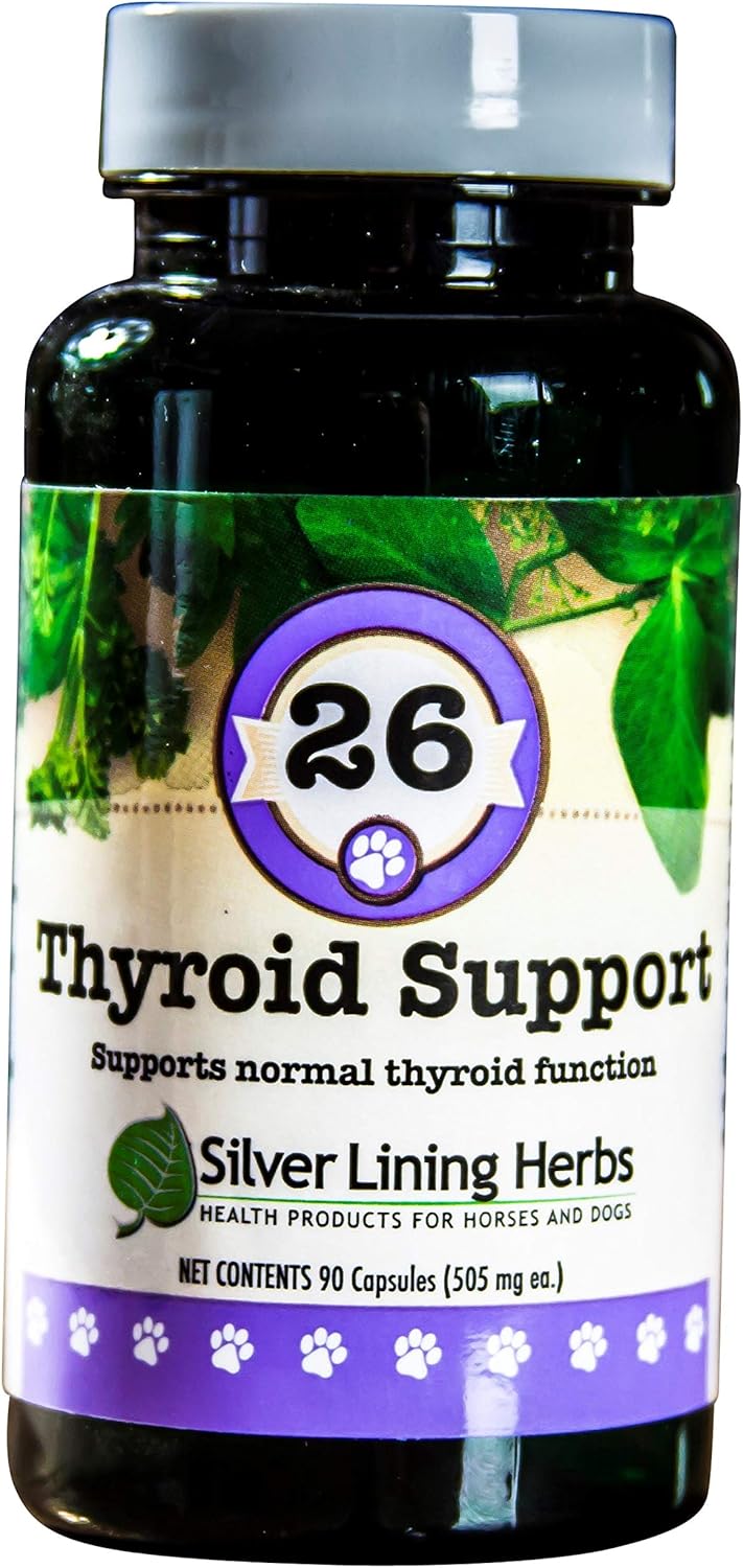 Natural Thyroid Support for Dogs - Herbal Blend Promoting Thyroid Health - Dog Supplement with Natural Ingredients - 90 Capsules
