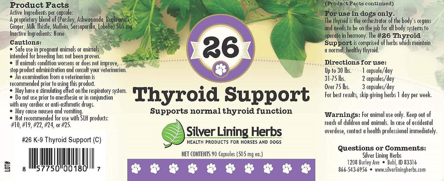 Natural Thyroid Support for Dogs - Herbal Blend Promoting Thyroid Health - Dog Supplement with Natural Ingredients - 90 Capsules