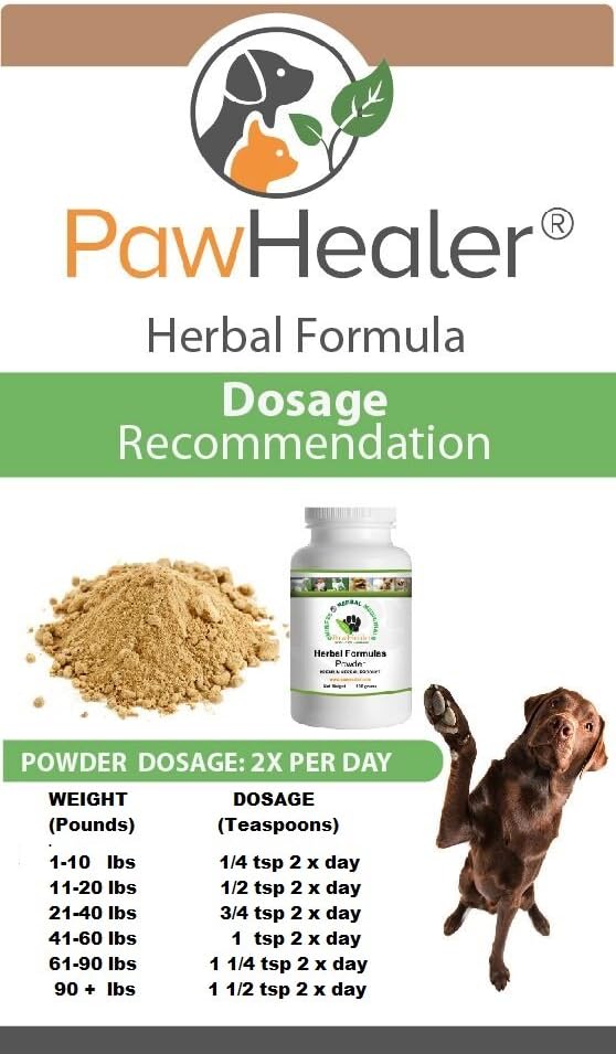 Natural Urinary Stone Prevention Remedy for Dogs - 50g Herbal Powder - Helps Maintain Bladder Health - Easy to Mix with Food