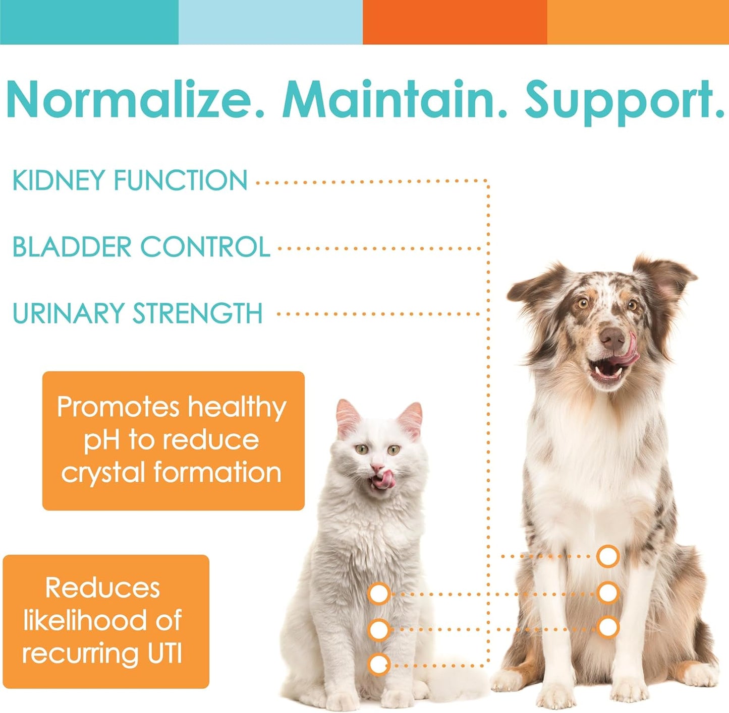 Natural Urinary Support for Cats & Dogs - Cranberry & D-Mannose Blend - Promotes Bladder Health, Incontinence, UTI Prevention - 60 Servings