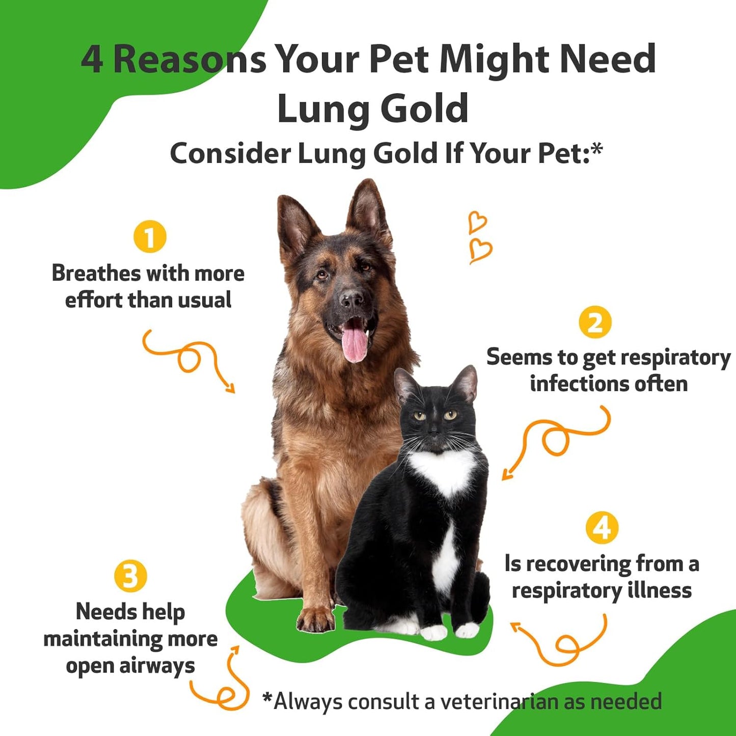 Natural Vet-Formulated Lung & Respiratory Support for Dogs & Cats - Herbal Supplement for Easy Breathing and Open Airways - 4 oz (18 ml)