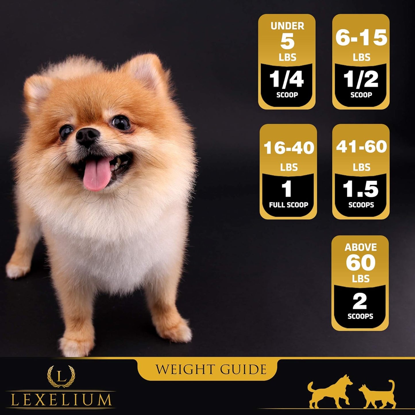 Natural Weight Gainer Supplement for Dogs & Cats - Muscle Building & Appetite Stimulation - Boost Immunity - 200g
