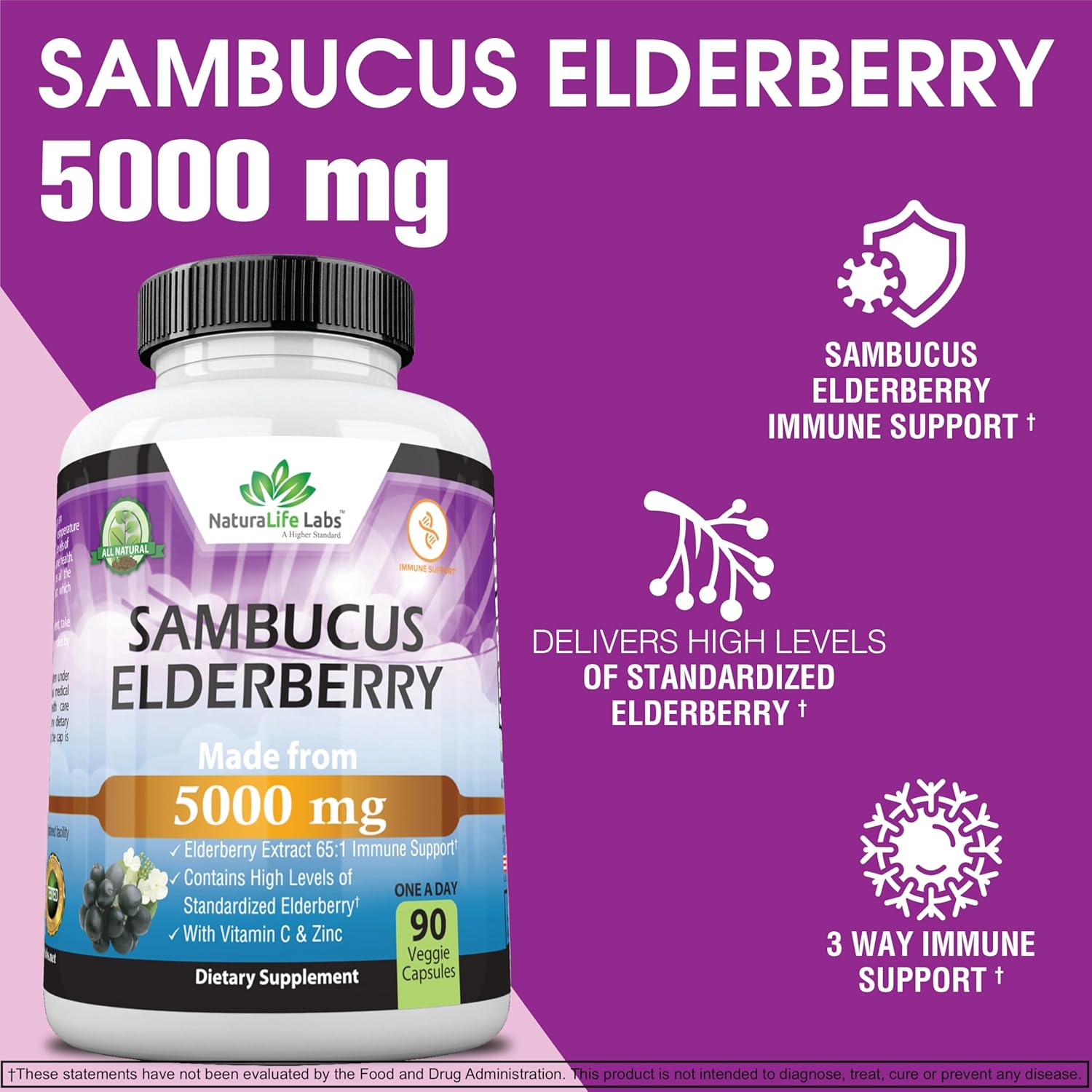 NaturaLife Labs Sambucus Elderberry Extract 5,000 mg with Vitamin C & Zinc - 90 Day Supply | Immune Support Supplement | Non-GMO Veggie Capsules