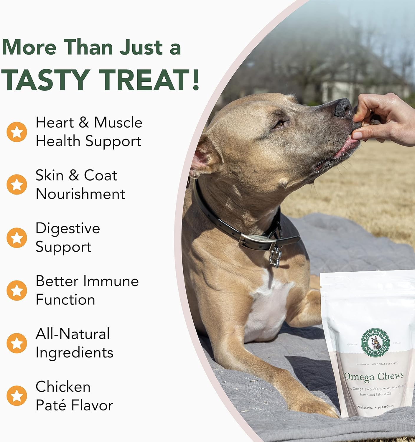 Naturalmetabolism booster& Salmon Oil Chews for Dogs - Supports Hip & Joint Health - Omega 3 Source - Promotes Shiny Coat & Healthy Skin - 60 Soft Chew Supplements
