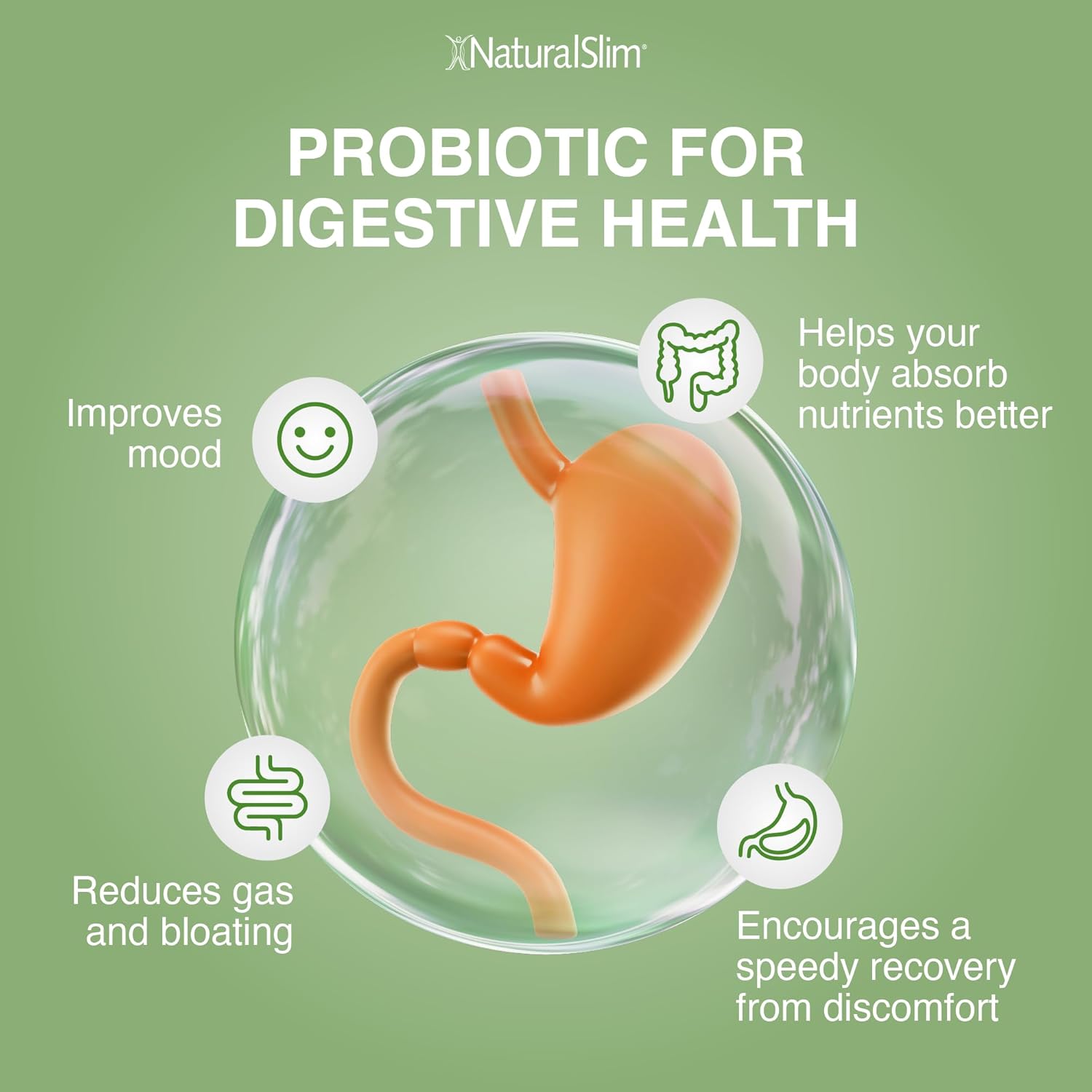 NaturalSlim Good Flora Probiotics with 7 Powerful Strains for Digestive Health, Intestinal Flora, and Immune Support - Gluten Free - 60 Capsules