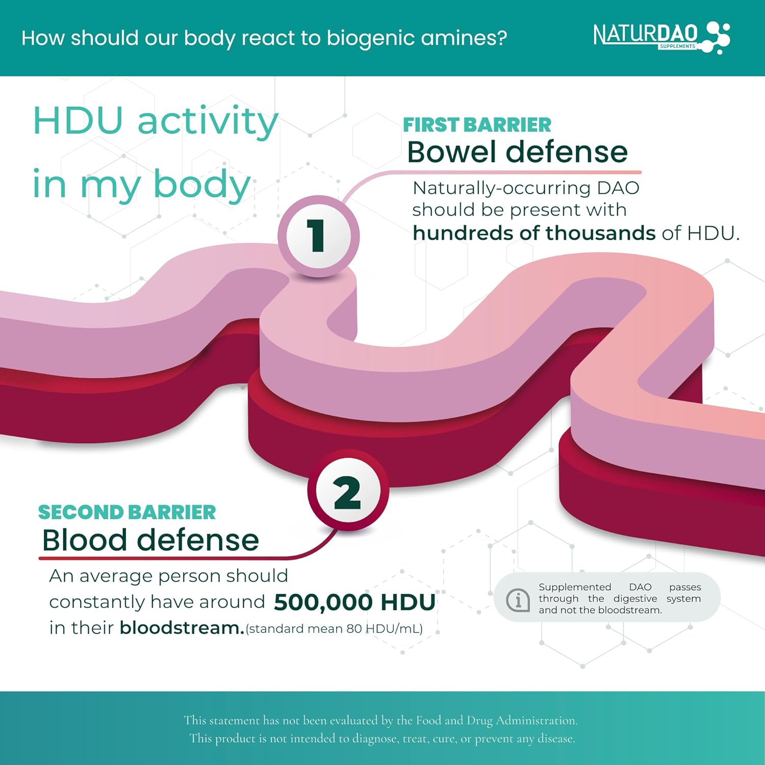 NaturDao LegumActive Enzyme Supplement - 1,000,000 HDU - DAO Histamine Block - Diamine Oxidase - Food Intolerance - 60 Tablets