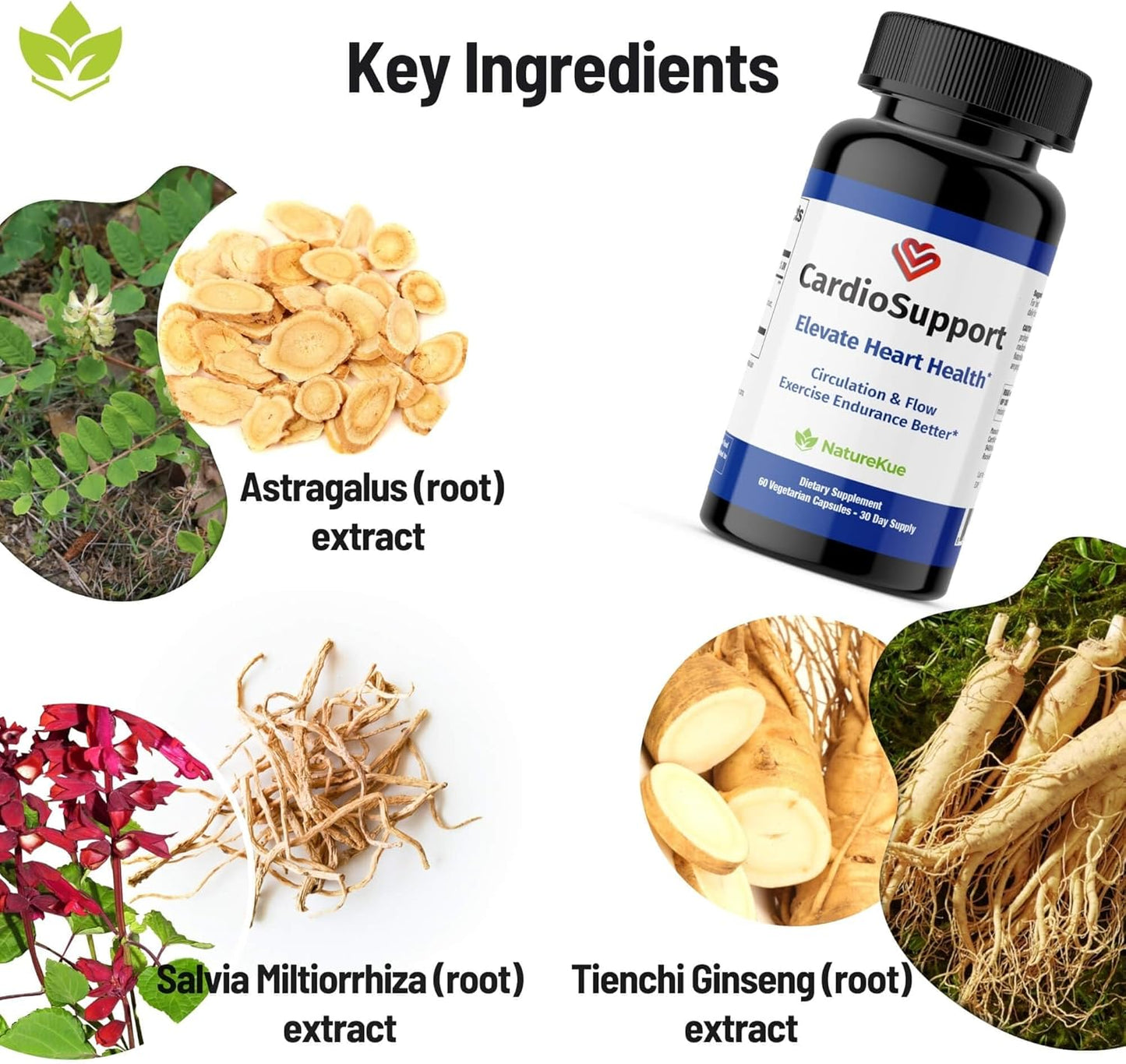 NatureKue CardioSupport: Herbal Heart Health Supplements for Exercise Endurance - 60 Capsules