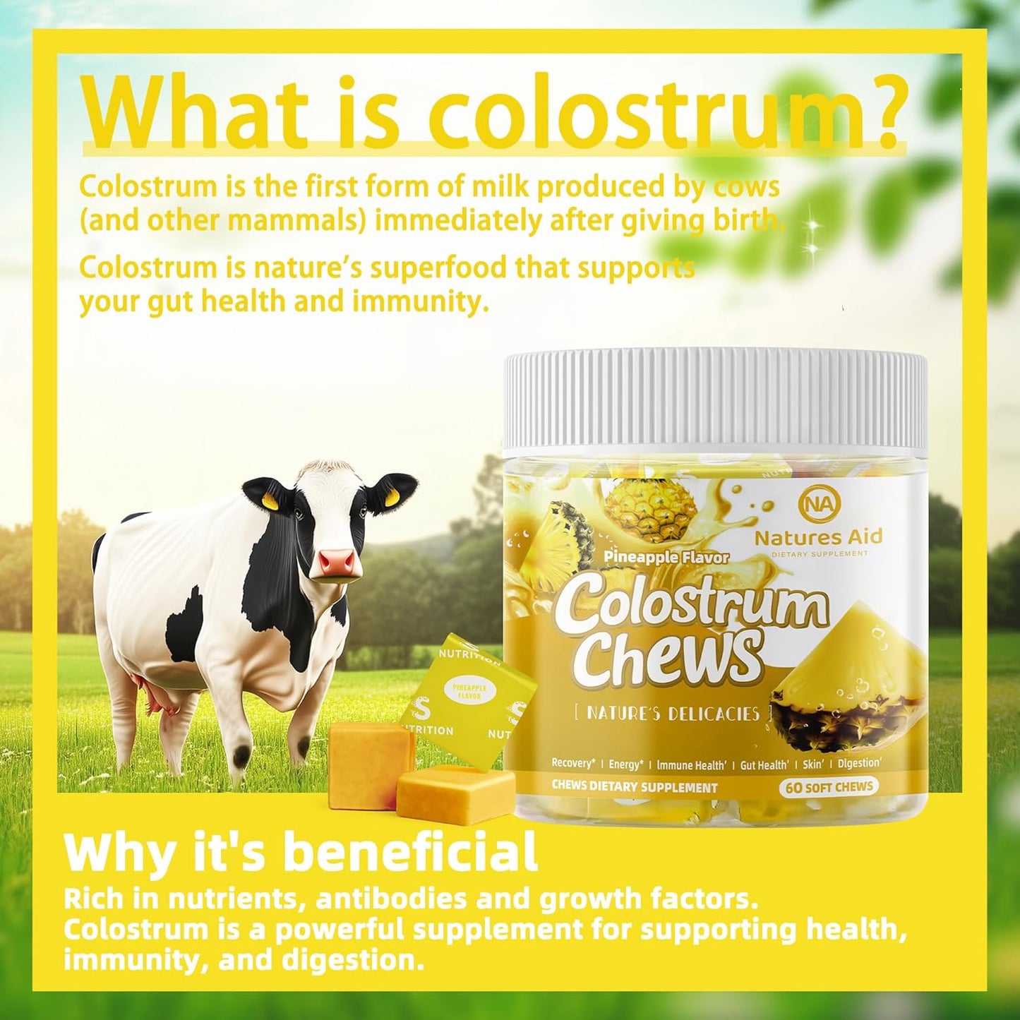 Natures Aid Colostrum Chews Supplement with Probiotics for Gut Health, Immune Support, Skin, Hair Growth - Pineapple Flavor (60 Servings)