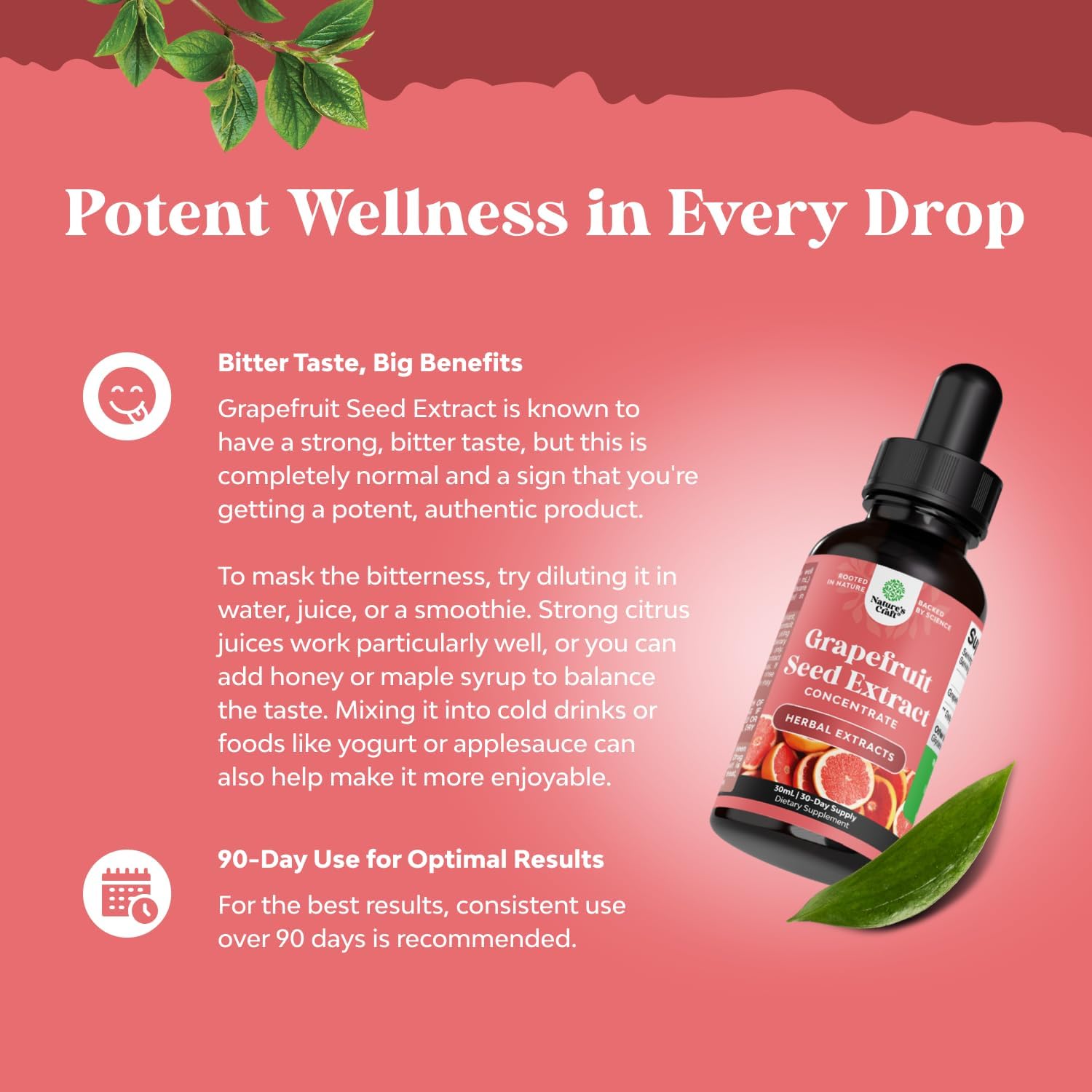 Natures Craft GSE Grapefruit Seed Extract Liquid - Super Concentrated Bioflavonoid-Rich Supplement for Digestive Health & Immune Support - Vegan Non-GMO & Alcohol-Free - 120 Servings