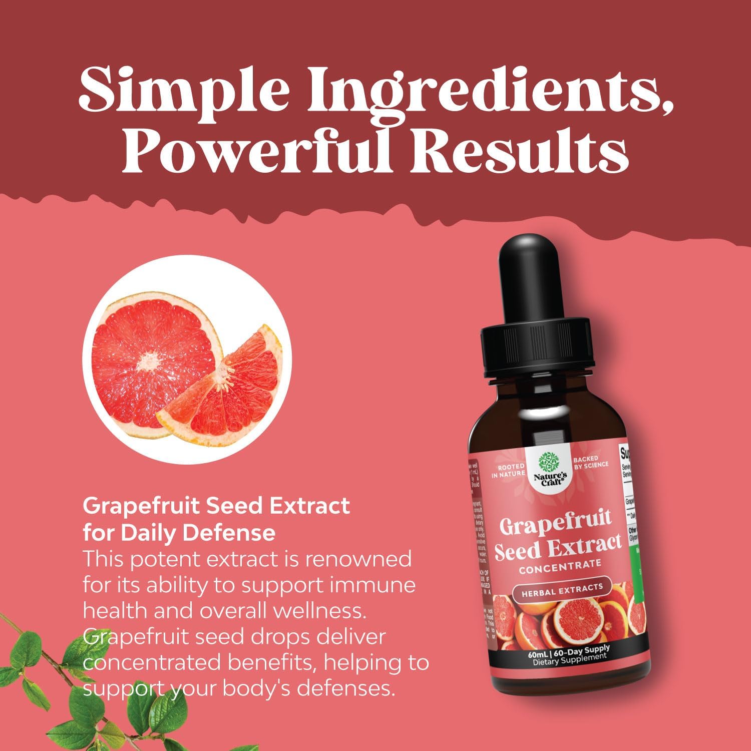 Natures Craft GSE Grapefruit Seed Extract Liquid - Super Concentrated Bioflavonoid-Rich Supplement for Digestive Health & Immune Support - Vegan Non-GMO & Alcohol-Free - 120 Servings