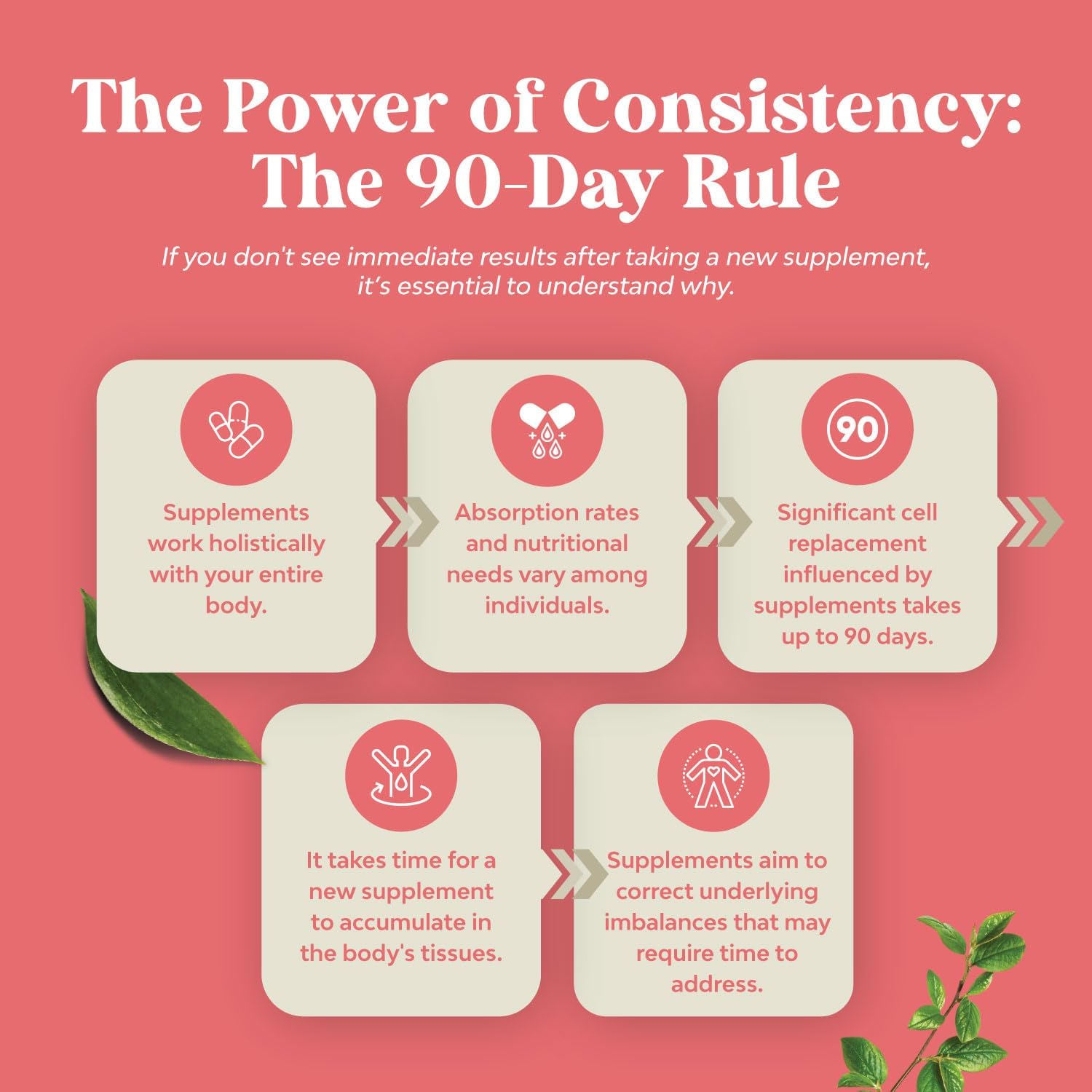 Natures Craft GSE Grapefruit Seed Extract Liquid - Super Concentrated Bioflavonoid-Rich Supplement for Digestive Health & Immune Support - Vegan Non-GMO & Alcohol-Free - 120 Servings