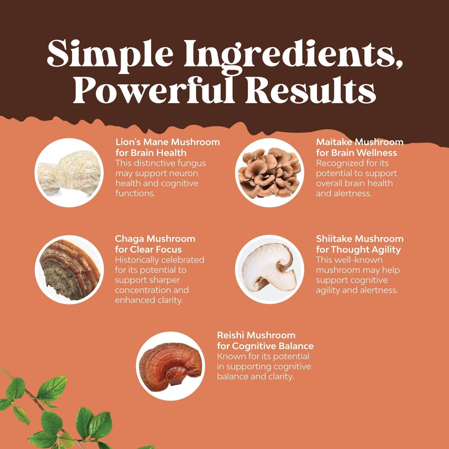 Natures Craft Mushroom Complex Capsules - Lions Mane, Reishi, Chaga, Maitake & Shiitake Blend for Brain Health, Memory & Focus - Nootropic Supplement - 30 Capsules