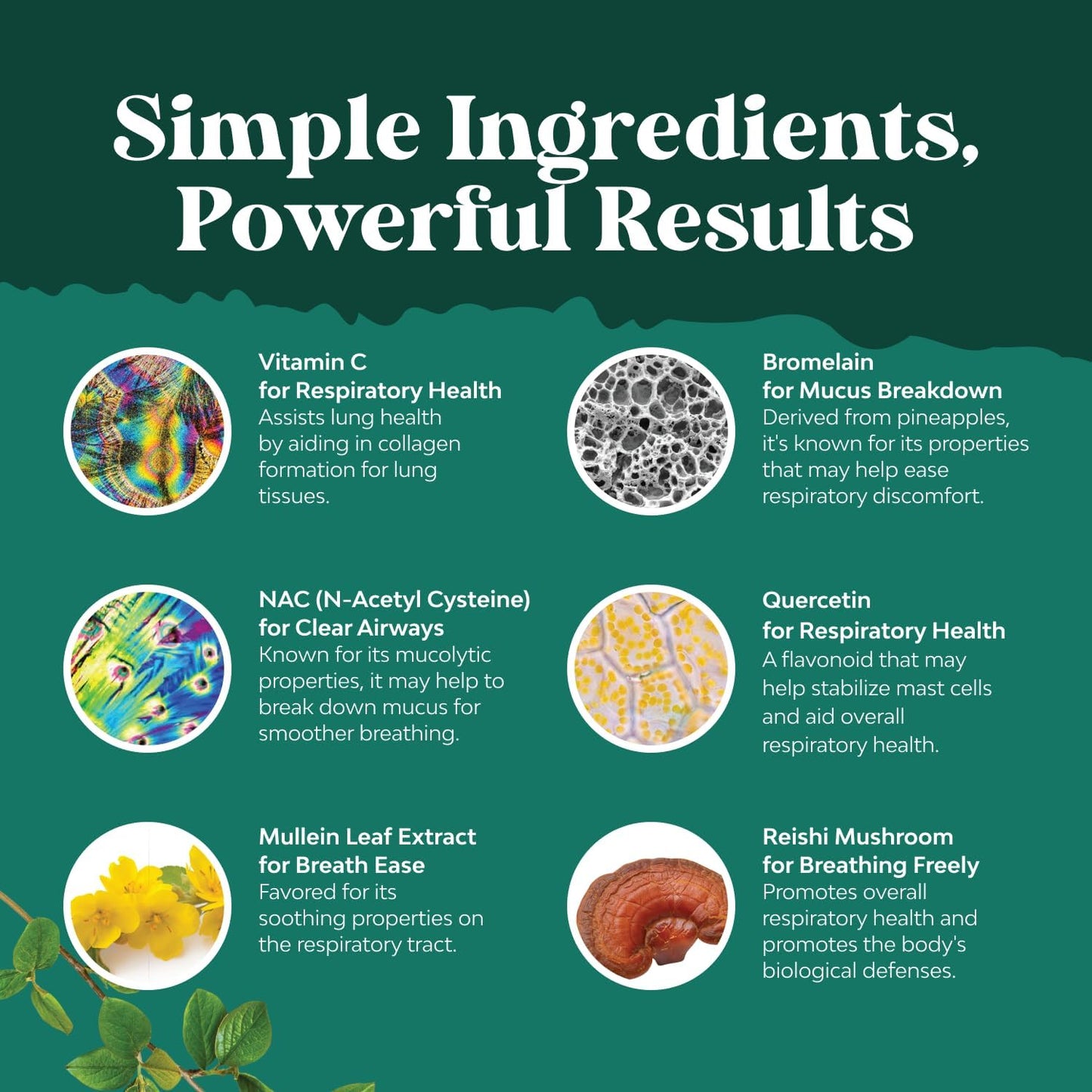 Natures Craft Organic Oregano Oil Drops - Super Concentrated Liquid with 60% Carvacrol for Heart & Digestion - Immunity Support Tincture - Vegan, Non-GMO - 30 ml