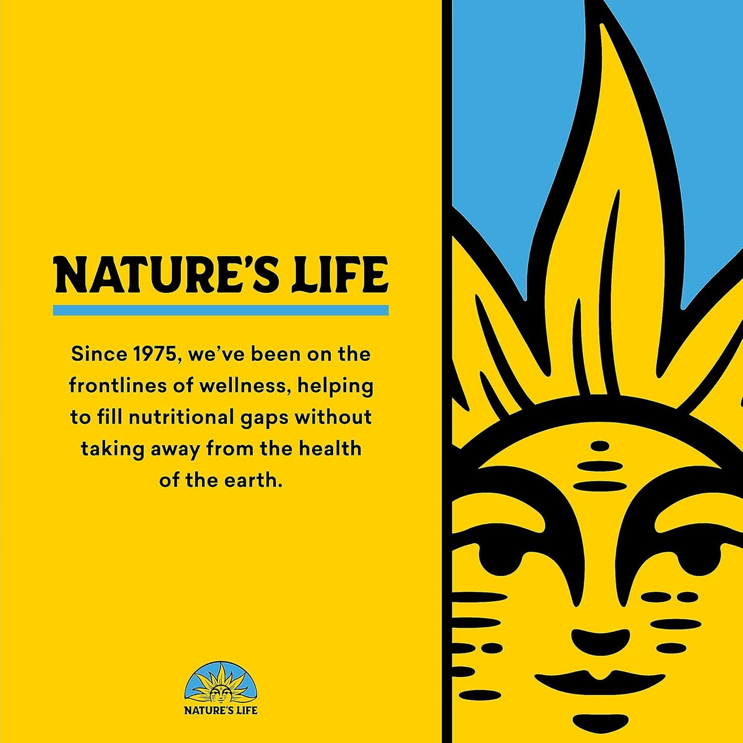 Nature's Life Renewing Magnesium 500 mg with Vitamin B-6 for Muscle and Nerve Support - Lab Verified - 100 Servings