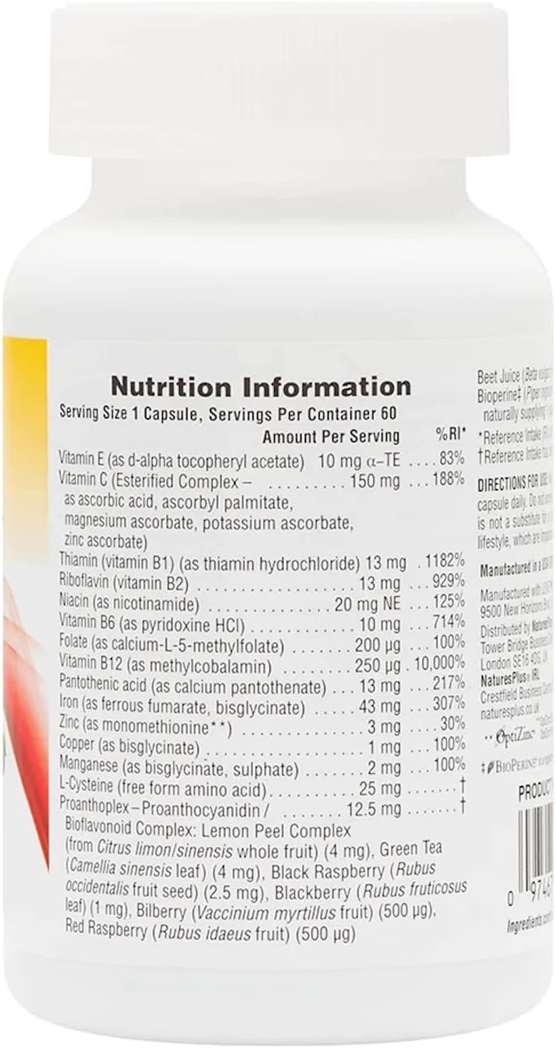 Natures Plus Hema-Plex Iron Capsules - 60 Fast-Acting Capsules with 85mg Chelated Iron for Total Blood Health - Vegan & Gluten Free