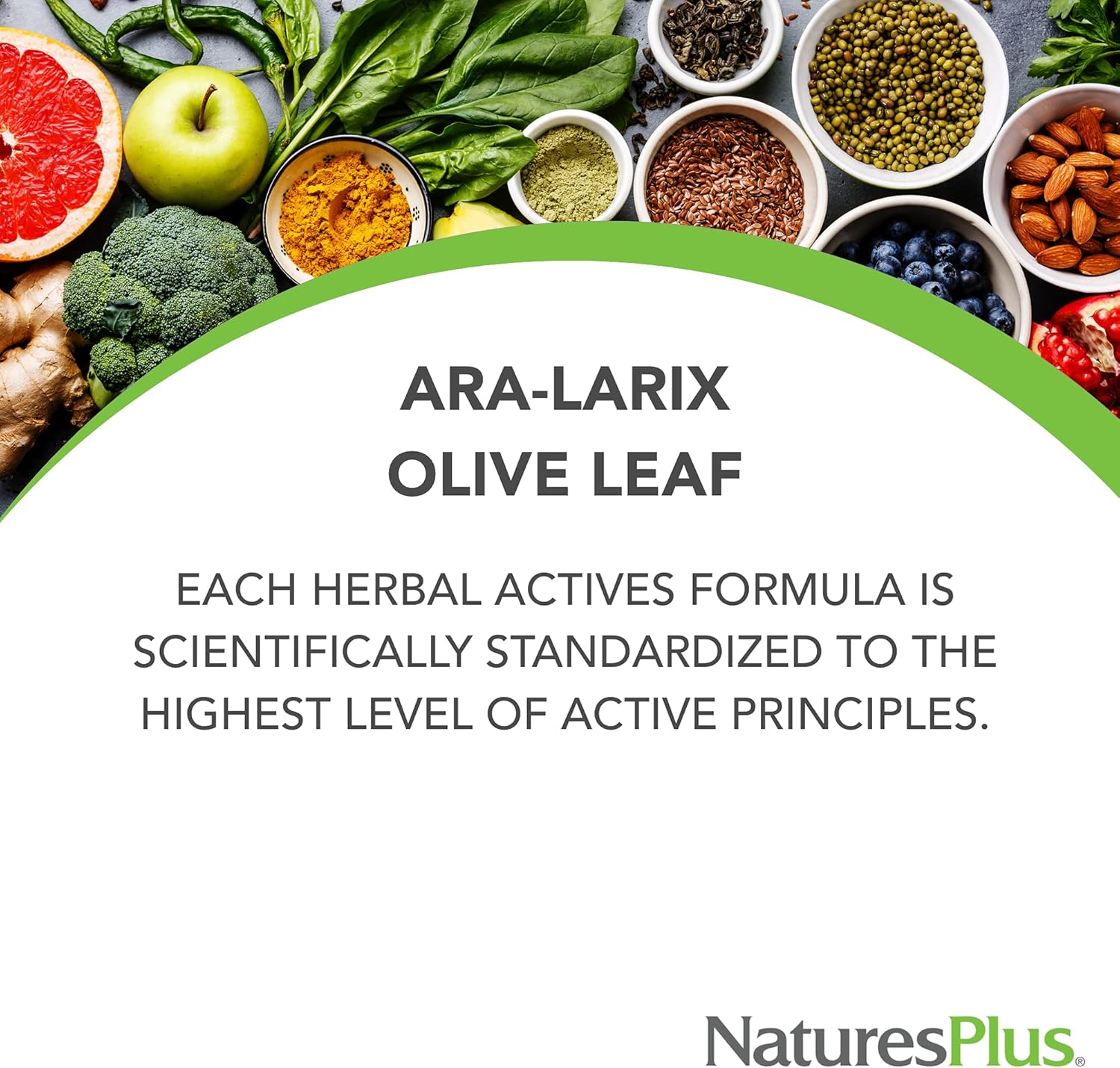 Natures Plus Herbal Actives ARA Larix Olive Leaf 750mg Vegan Tablets - Immune Support Supplement, Extended Release - Hypoallergenic, Vegetarian, Gluten-Free