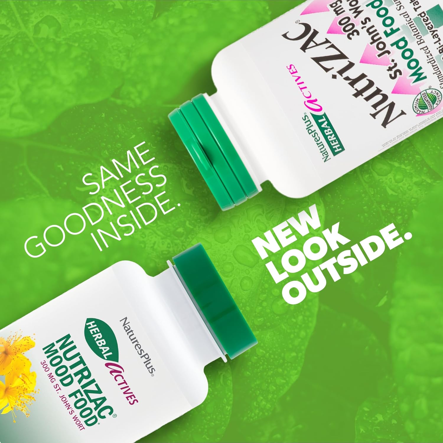 Natures Plus Herbal Actives NutriZAC Mood Food - Maximum Potency Natural Mood Booster with St Johns Wort - Vegan Bi-Layered Tablets - 90 Servings