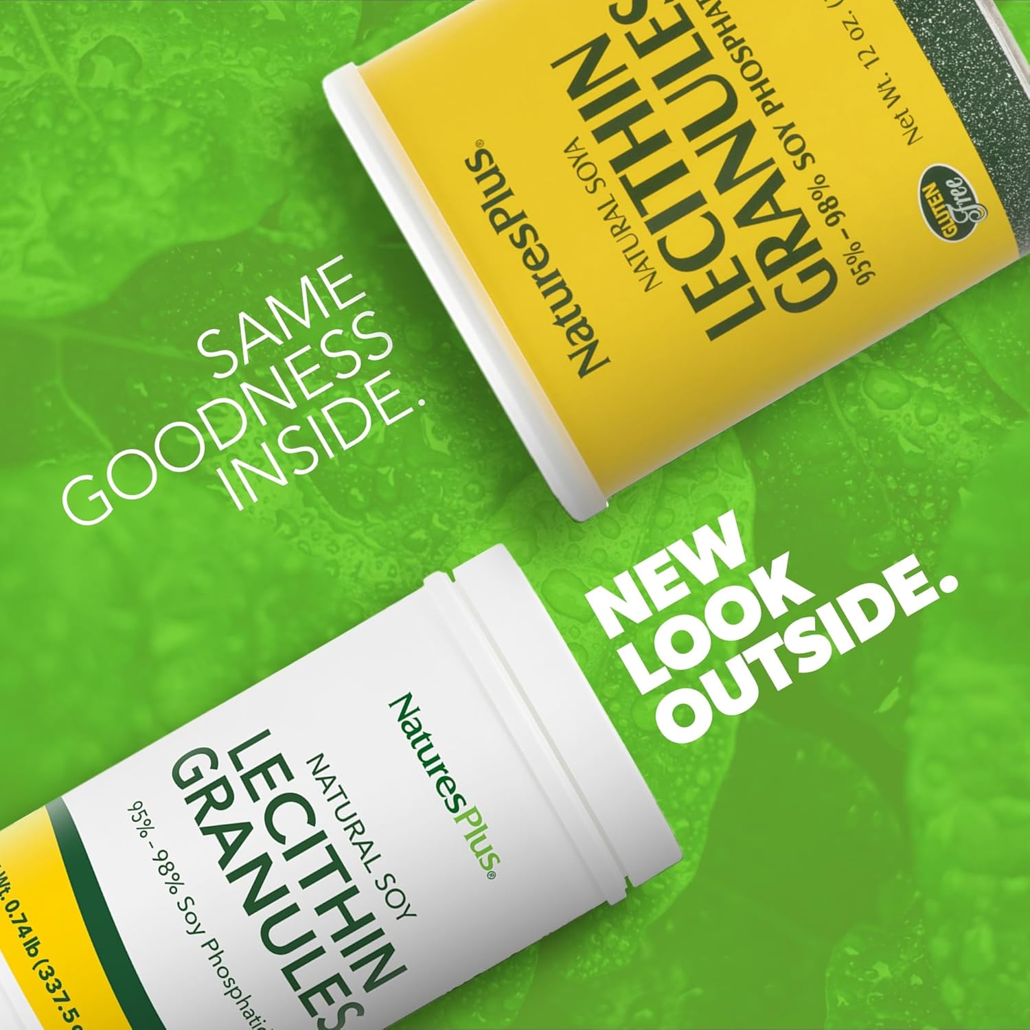 Natures Plus Lecithin Granules - 95% Soy Phosphatides, 12 oz - Pleasant-Tasting Lecithin Powder Supplement - Vegetarian and Gluten-Free