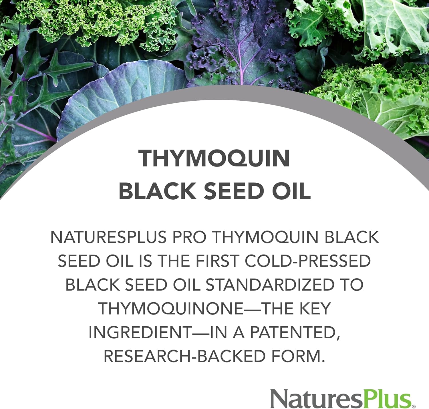 Natures Plus PRO ThymoQuin Black Seed Oil Softgels - 60 Servings, 500 mg, Cold-Pressed, Gluten Free