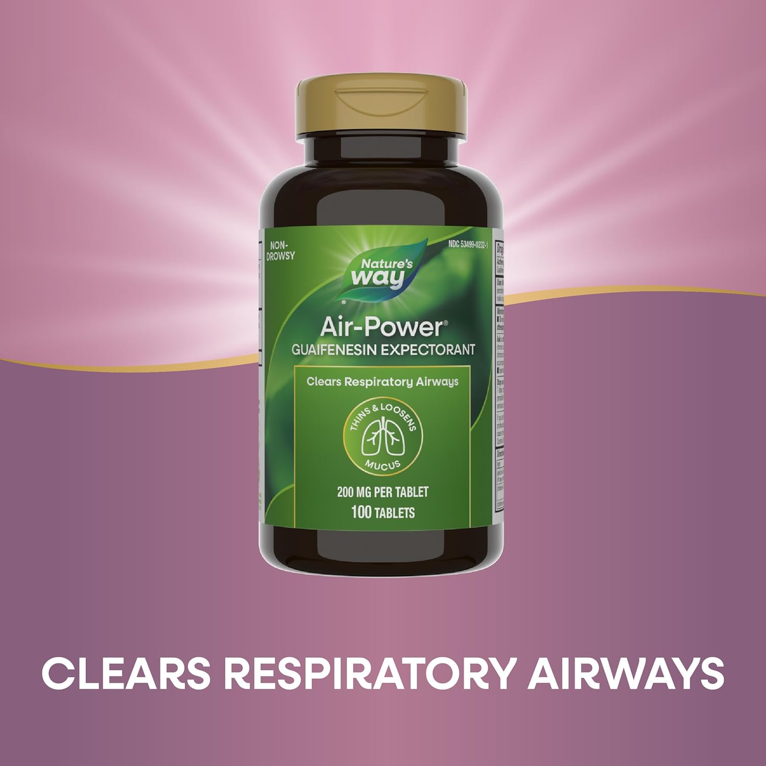 Nature's Way Air-Power Guaifenesin Expectorant Tablets for Clearing Airways and Mucus - Vegan - 100 Count