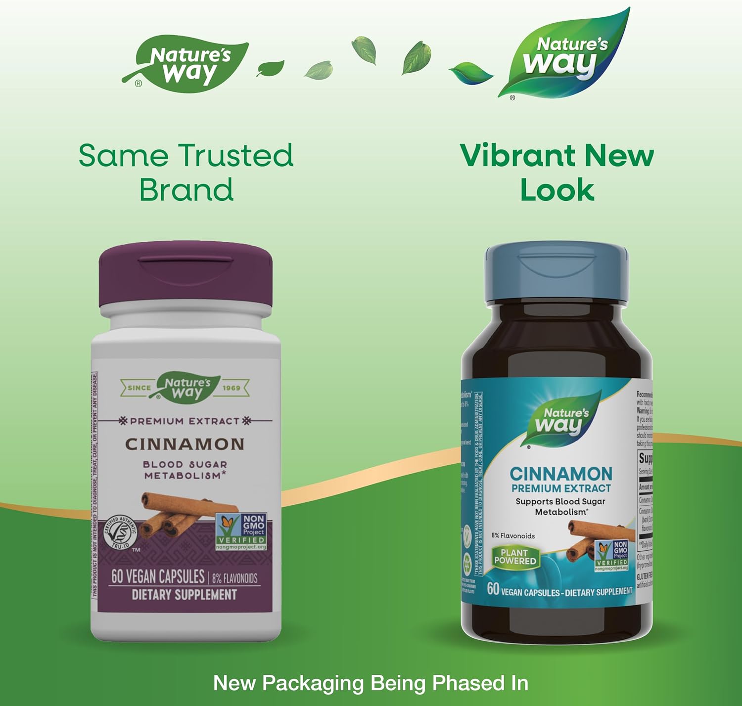 Nature's Way Premium Extract Cinnamon 8% Flavonoids Vcaps - 120 Count