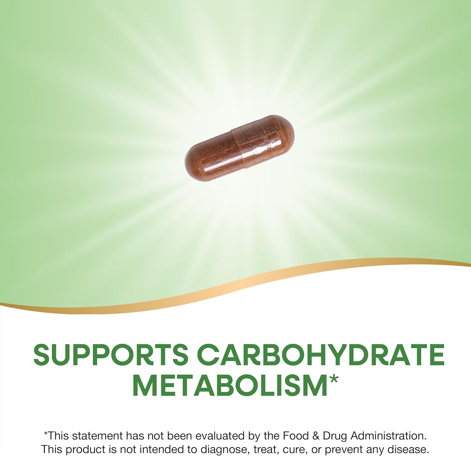 Nature's Way Premium Extract Cinnamon 8% Flavonoids Vcaps - 120 Count